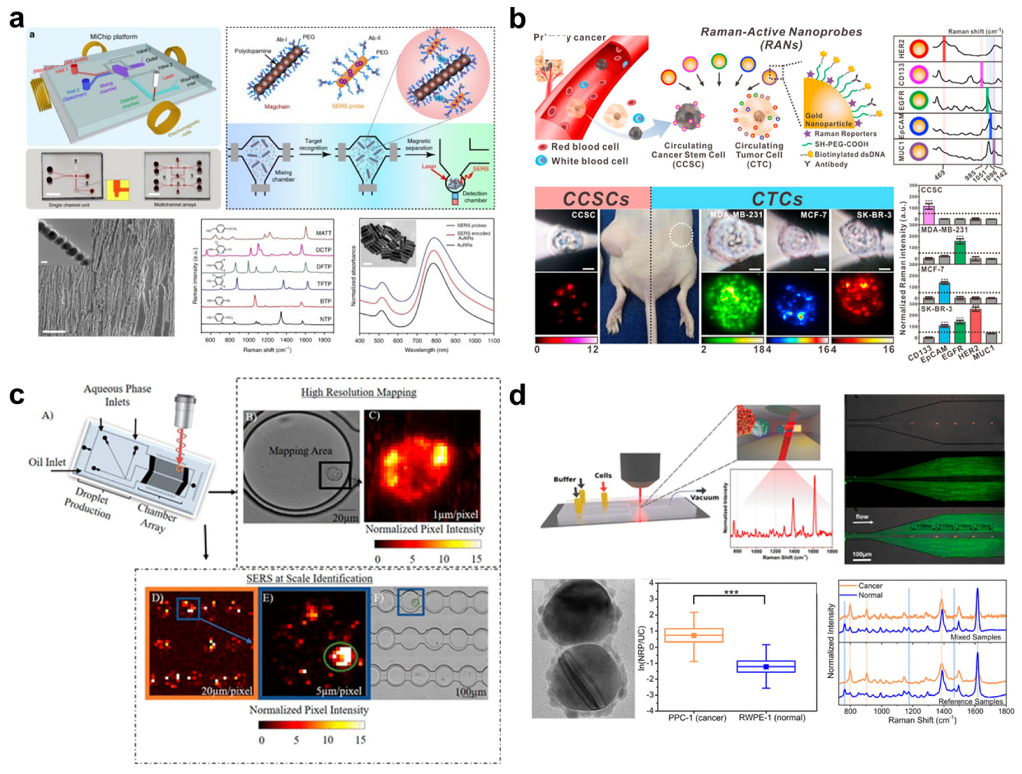 Cancers 13 01385 g004
