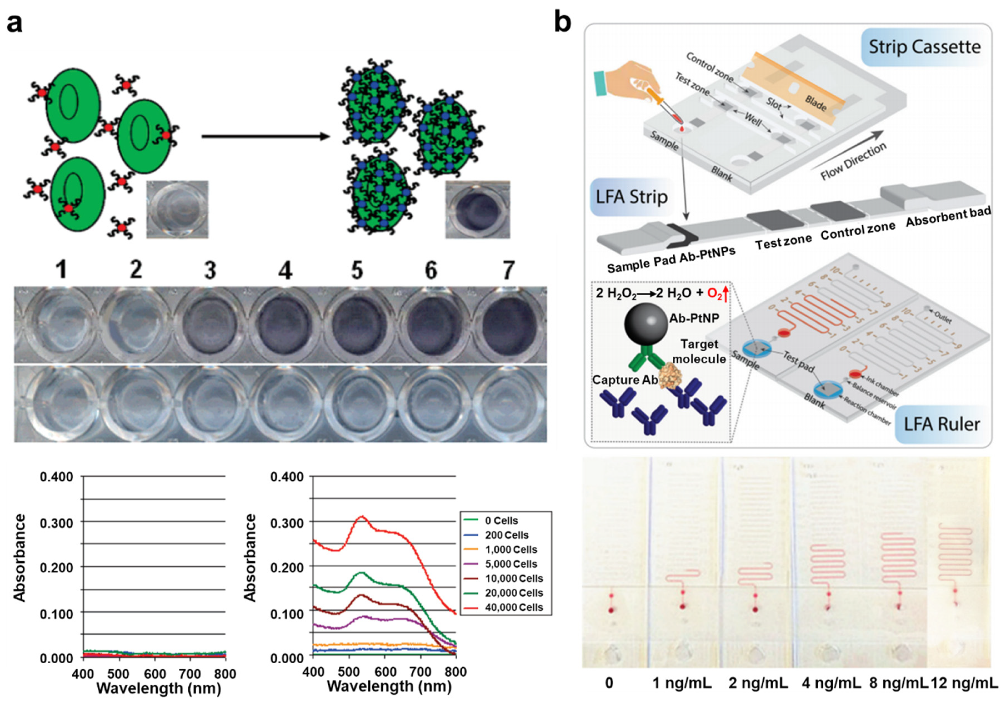 Cancers 13 01385 g005