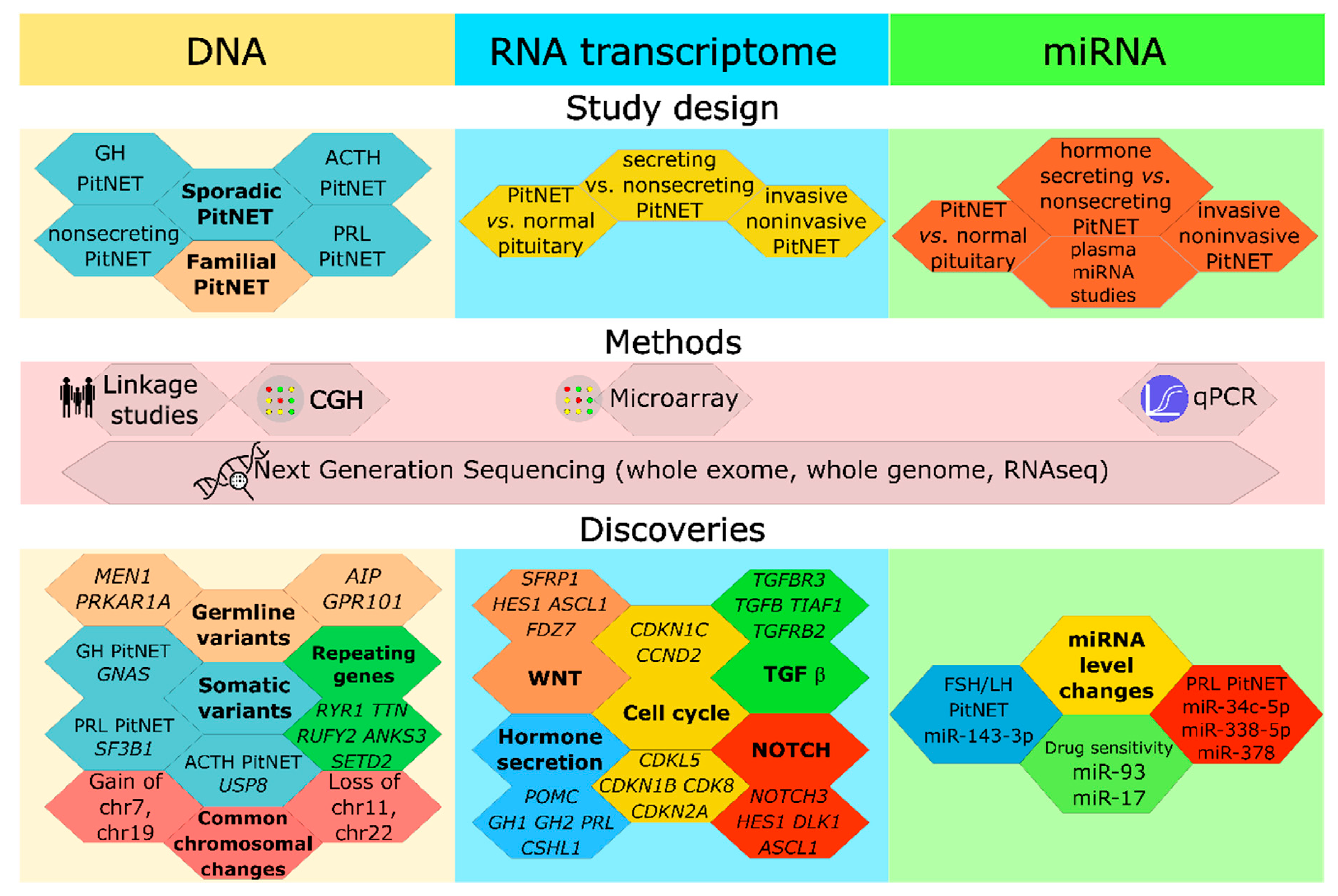 Cancers 13 01395 g001