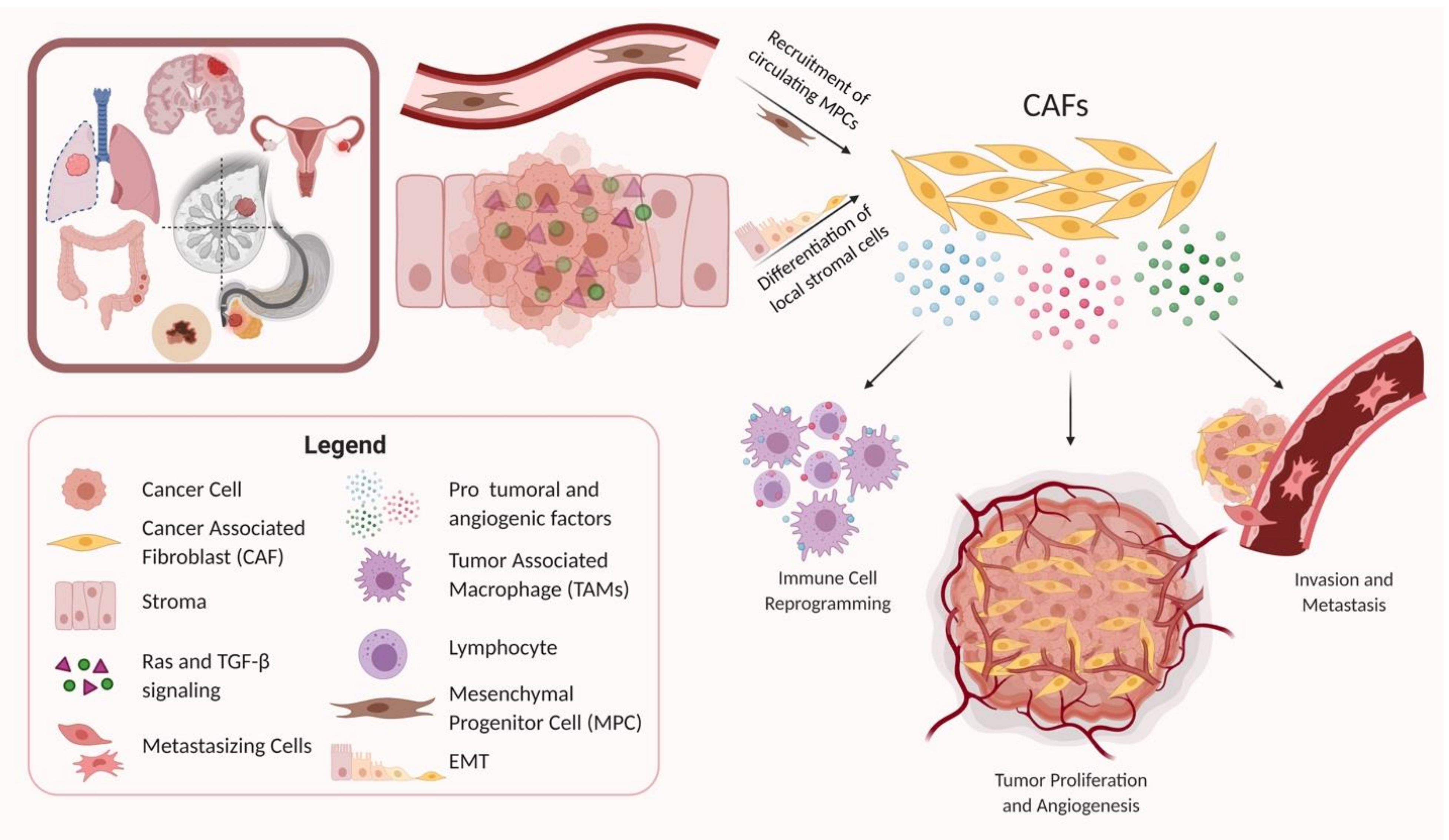 Cancers 13 01399 g001 Cancers 13 01399 g001