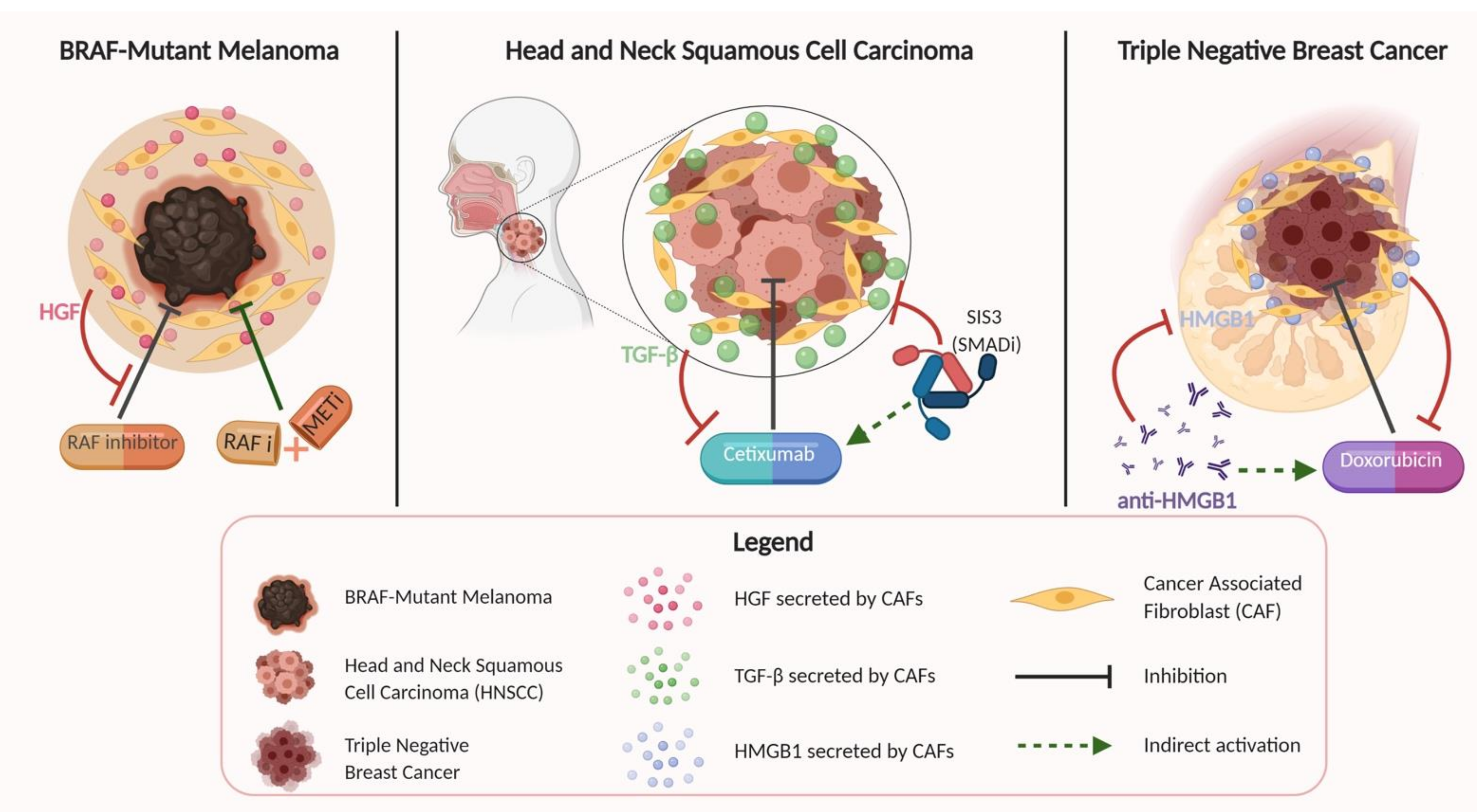 Cancers 13 01399 g002 Cancers 13 01399 g002