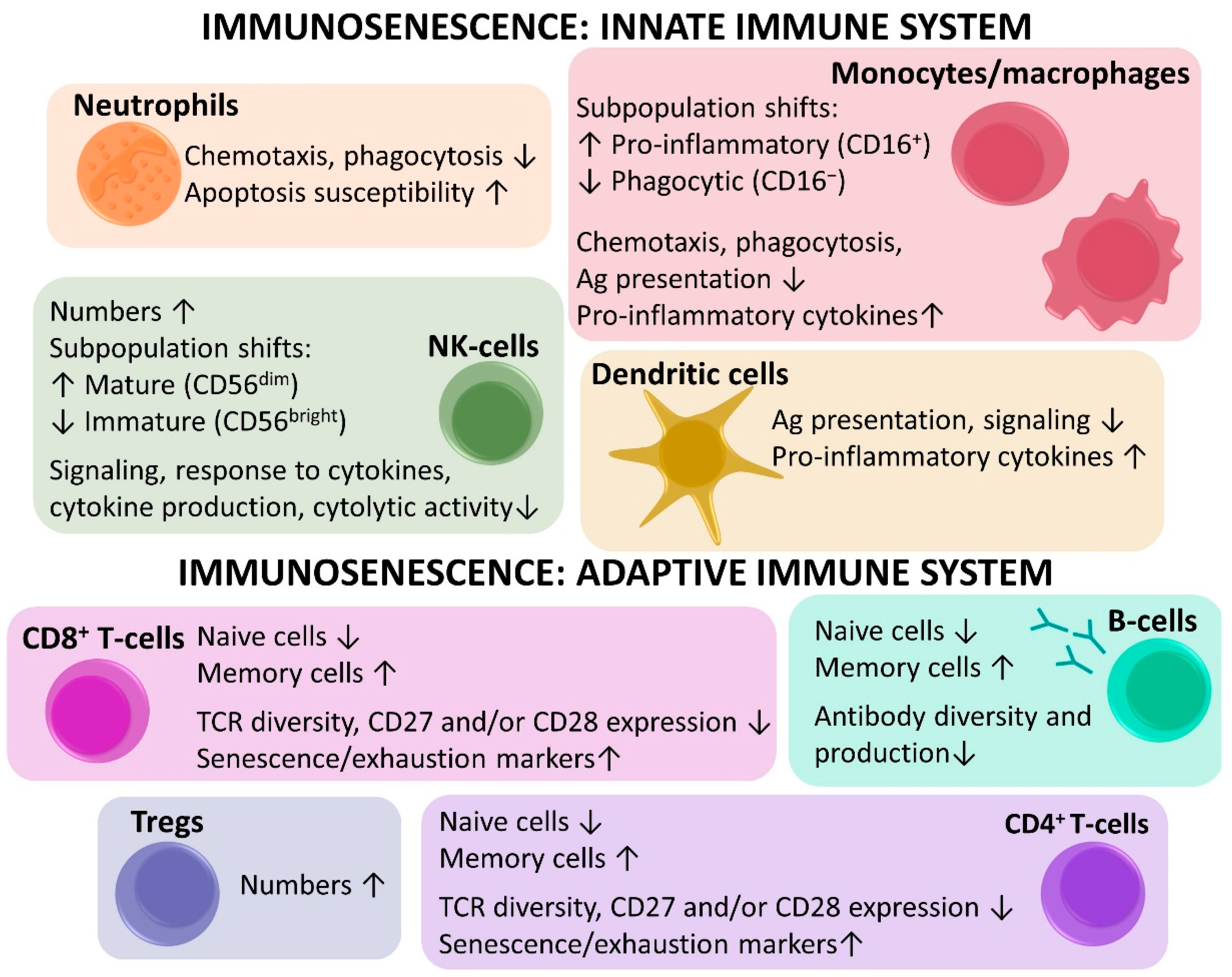 Cancers 13 01400 g005 Cancers 13 01400 g005