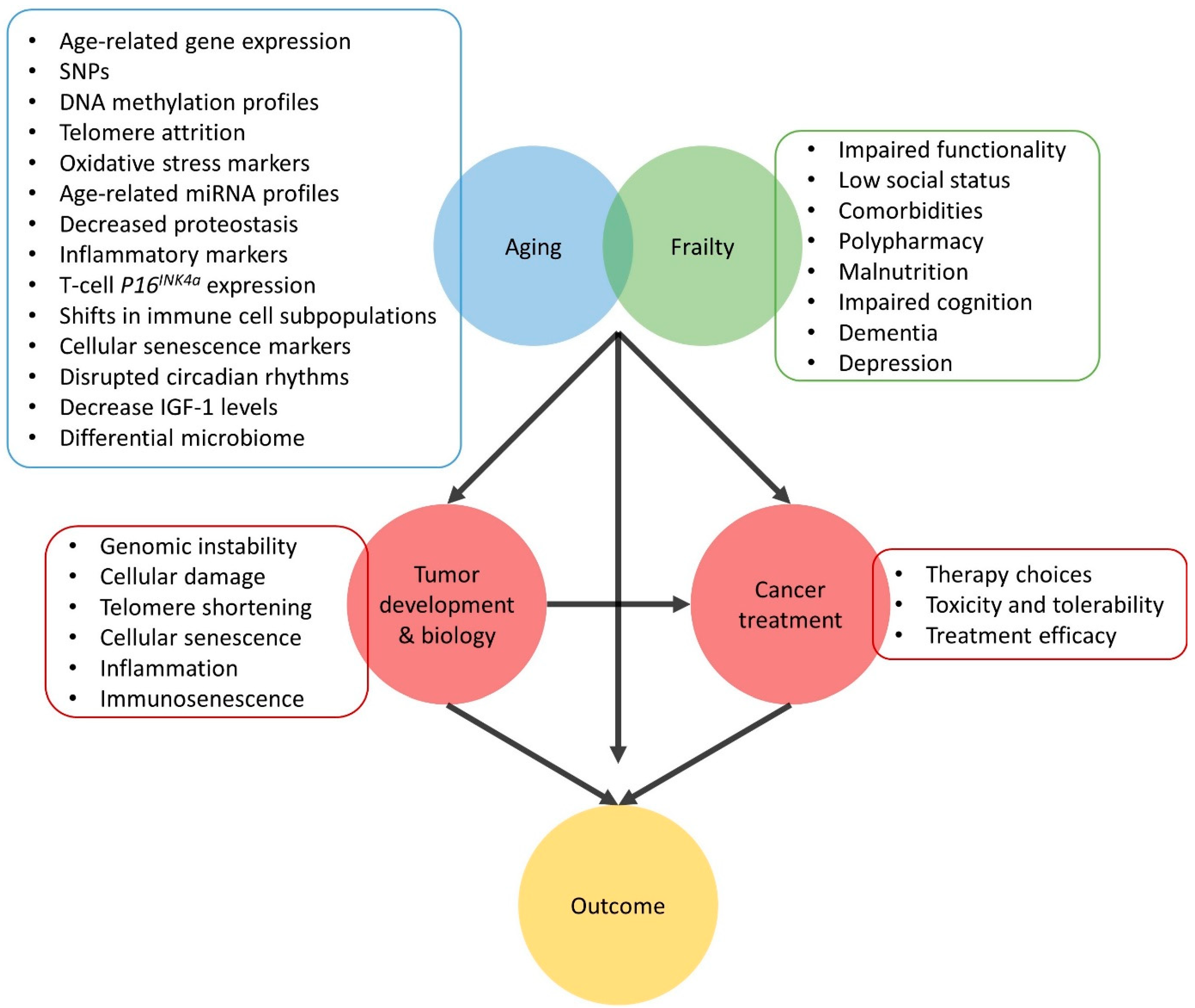 Cancers 13 01400 g006 Cancers 13 01400 g006