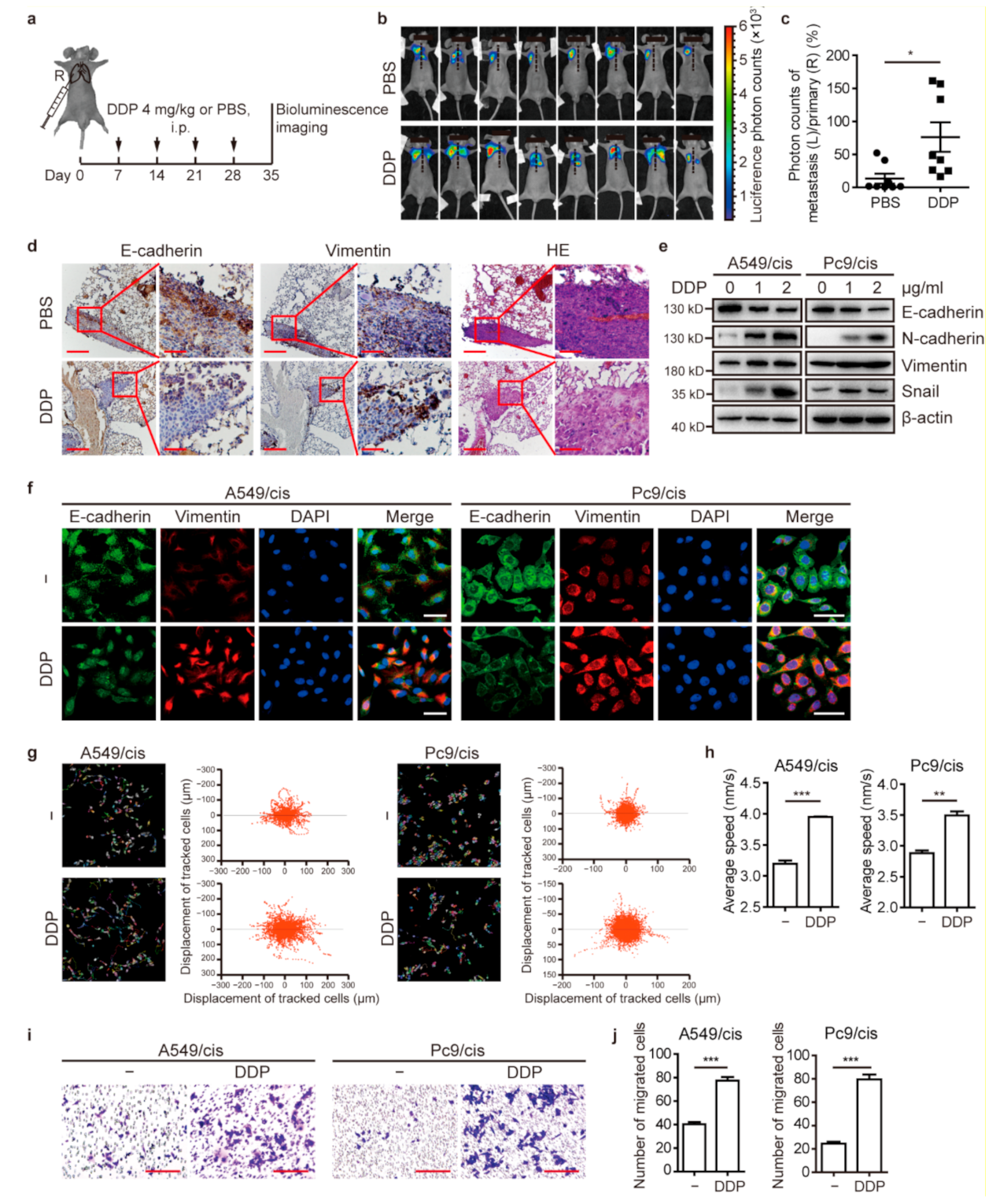 Cancers 13 01403 g001 Cancers 13 01403 g001