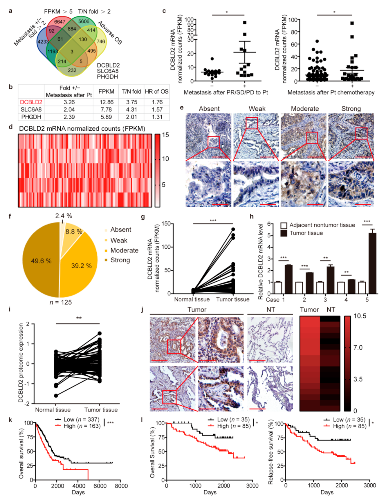 Cancers 13 01403 g002 Cancers 13 01403 g002