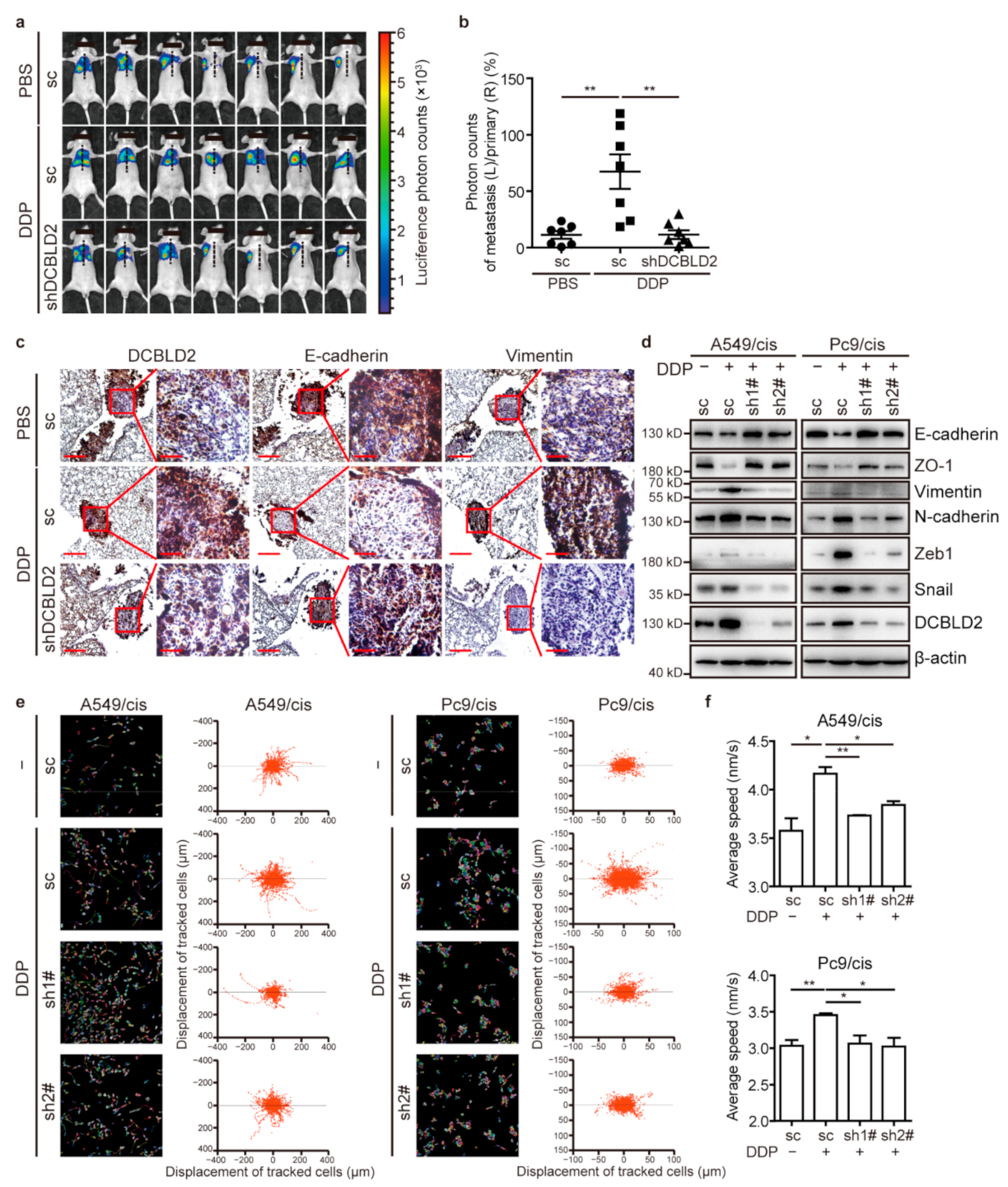 Cancers 13 01403 g004 Cancers 13 01403 g004