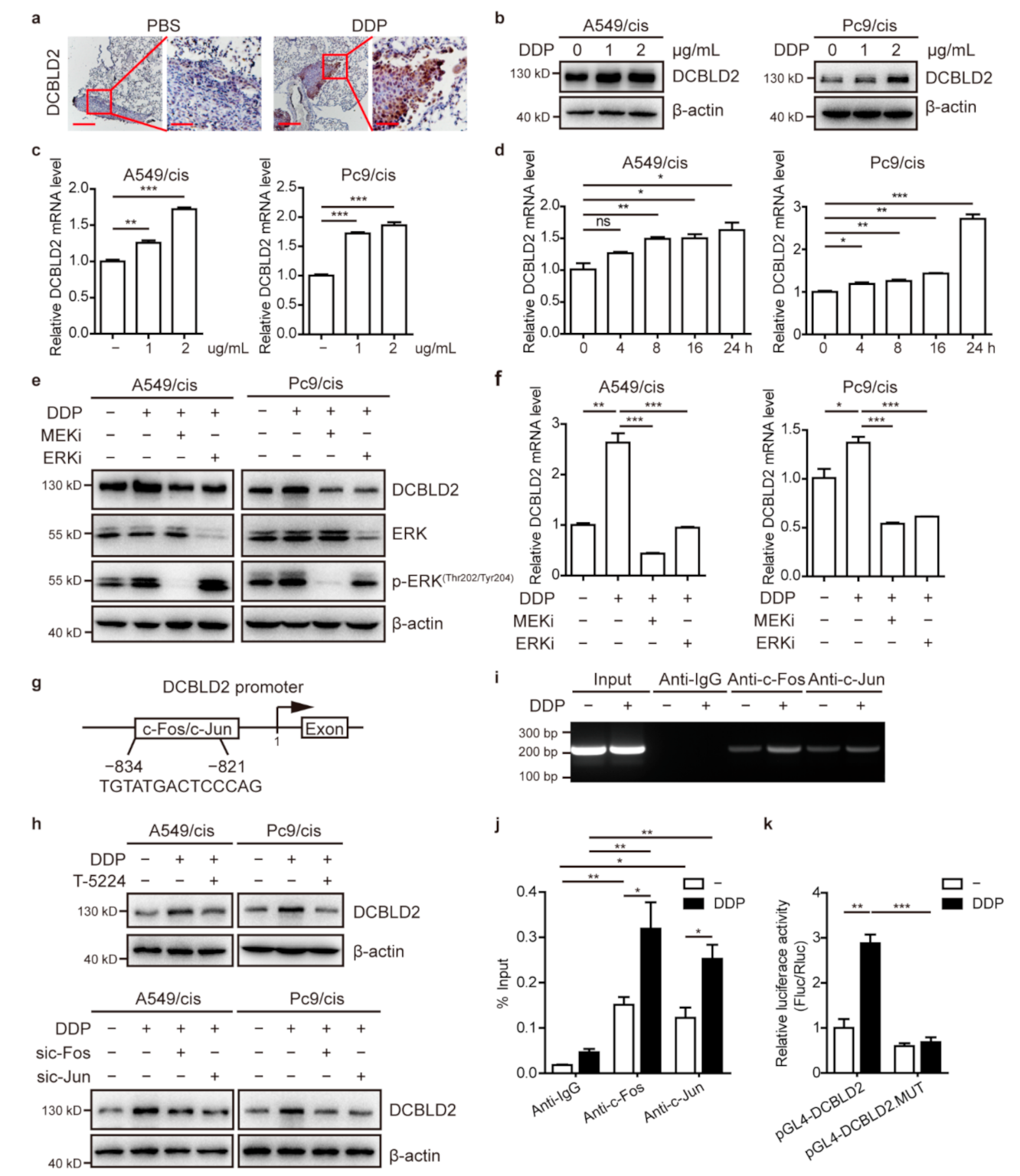 Cancers 13 01403 g006 Cancers 13 01403 g006