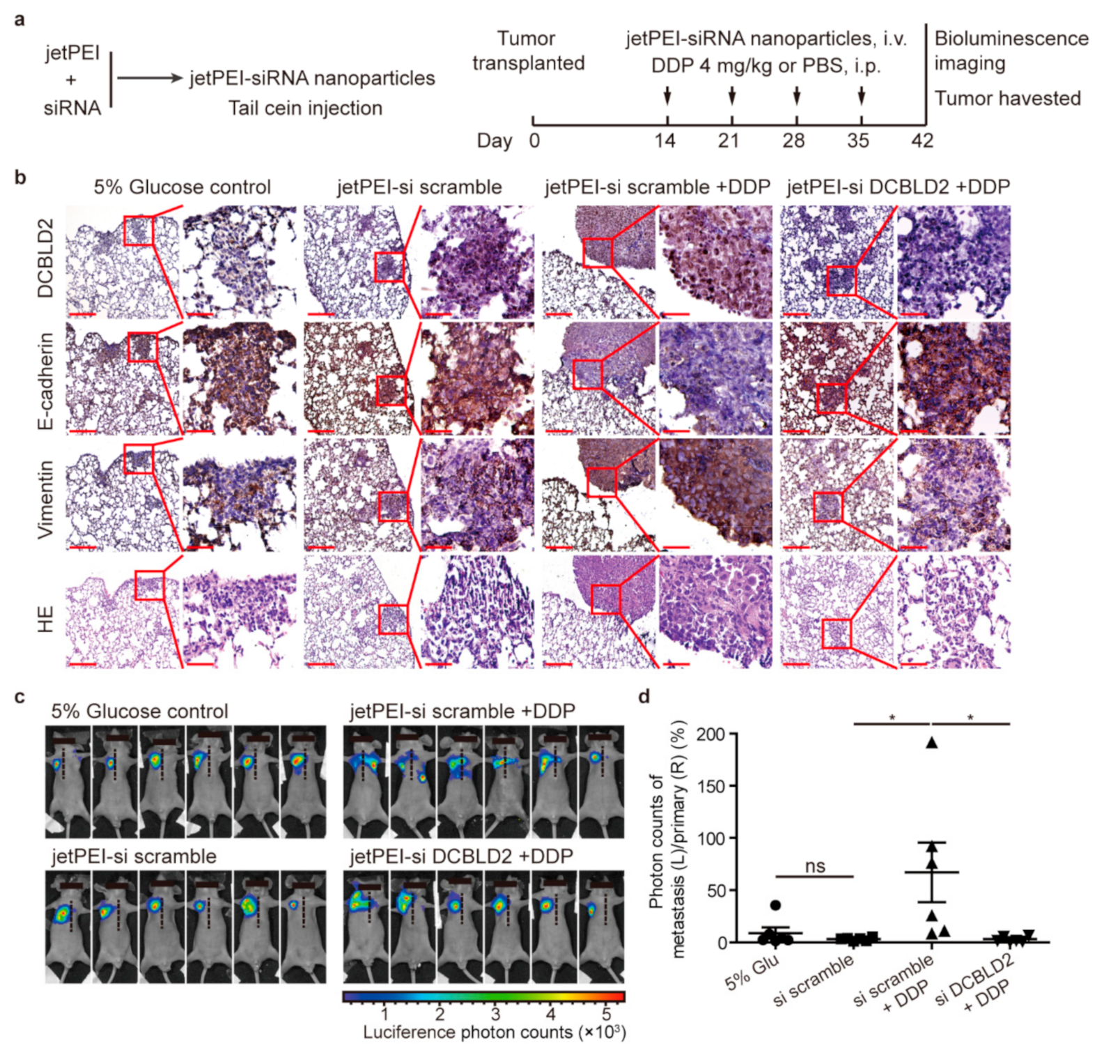 Cancers 13 01403 g007 Cancers 13 01403 g007