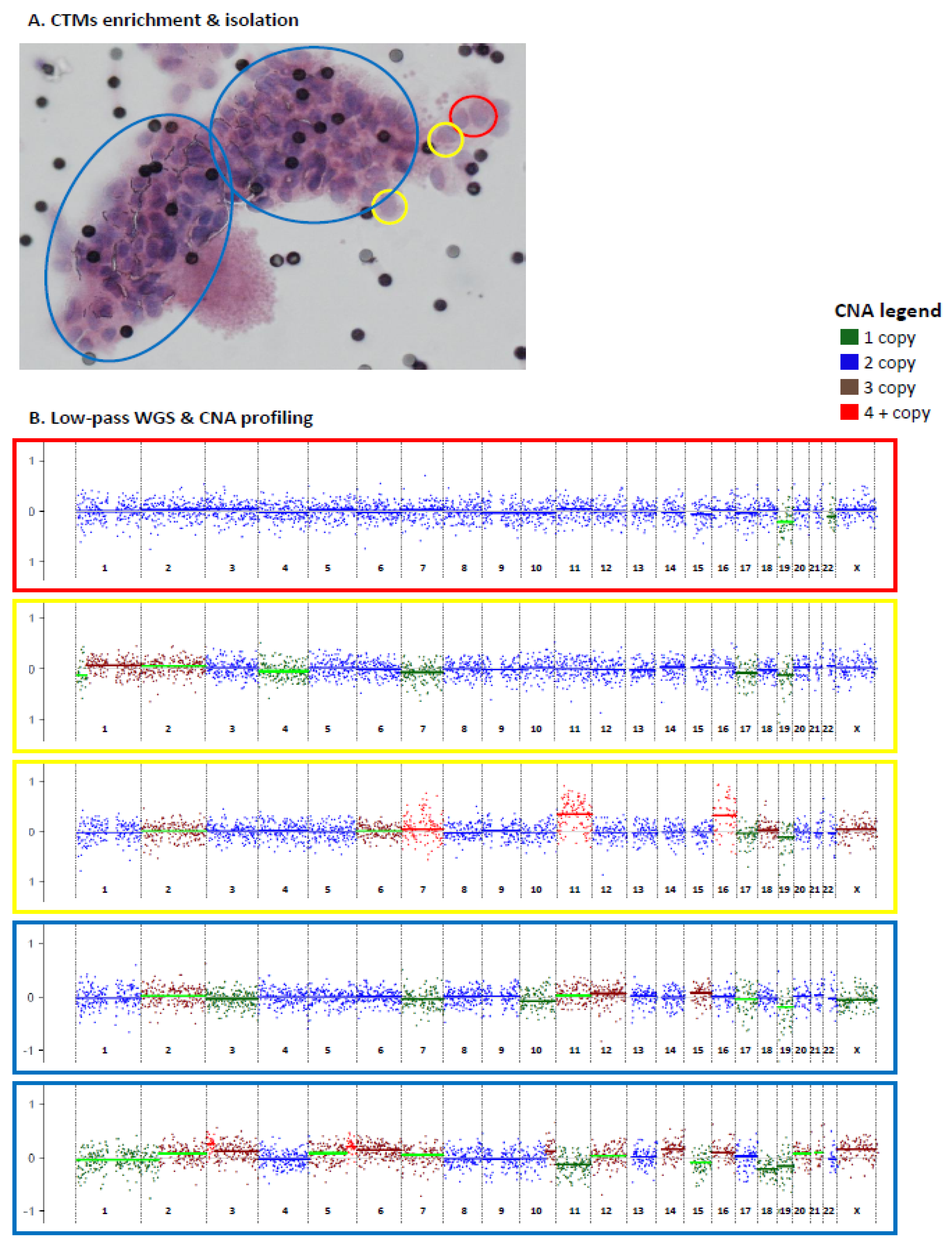 Cancers 13 01409 g003