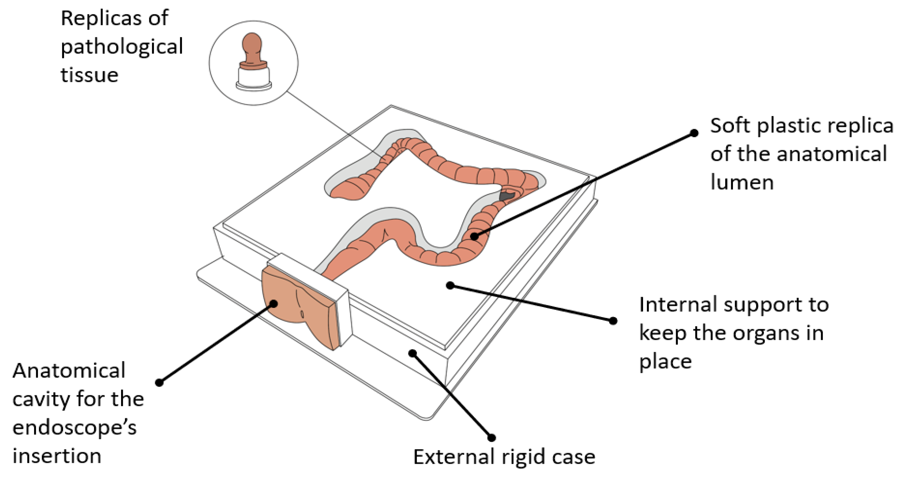 Cancers 13 01427 g003 Cancers 13 01427 g003