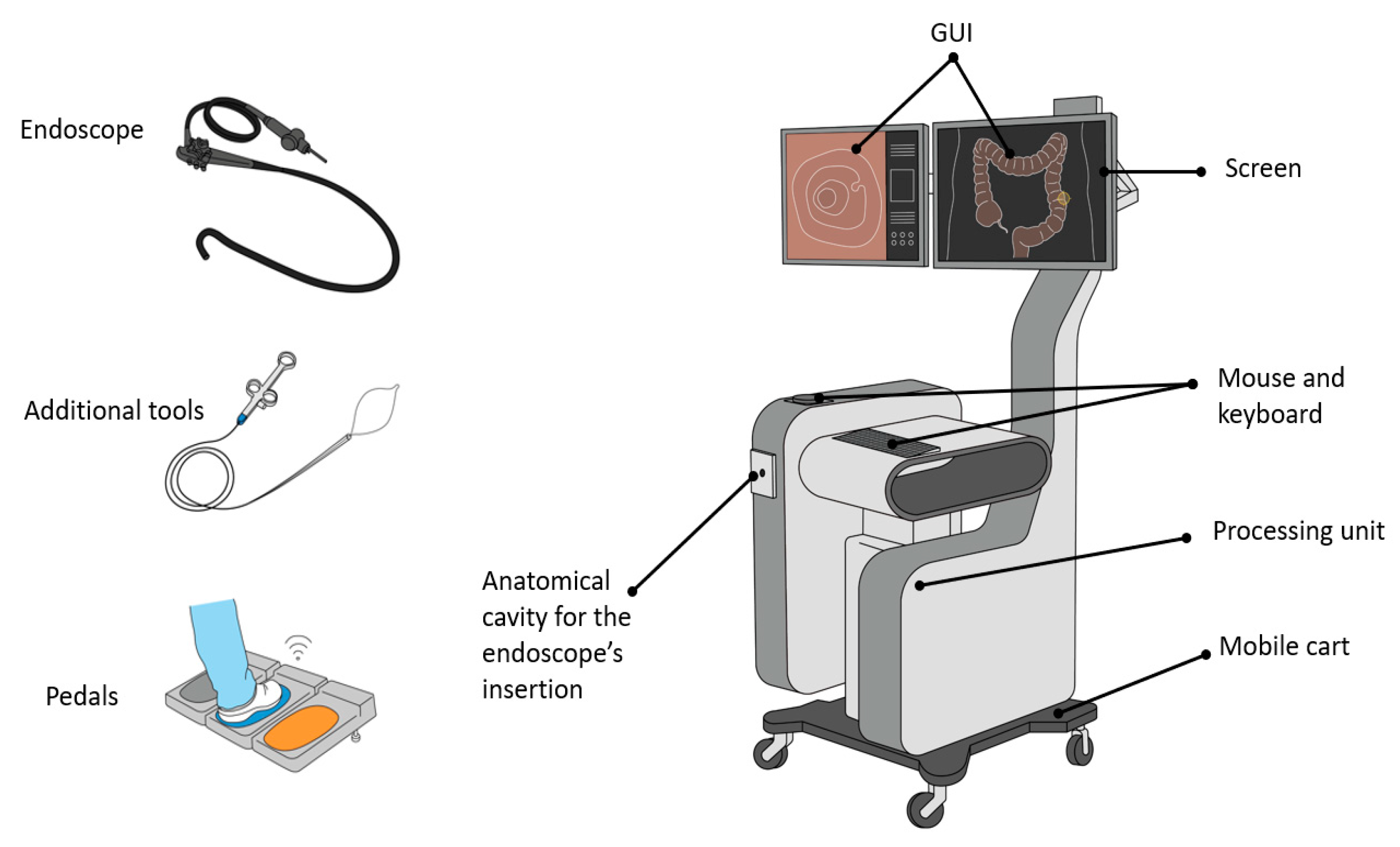 Cancers 13 01427 g005 Cancers 13 01427 g005