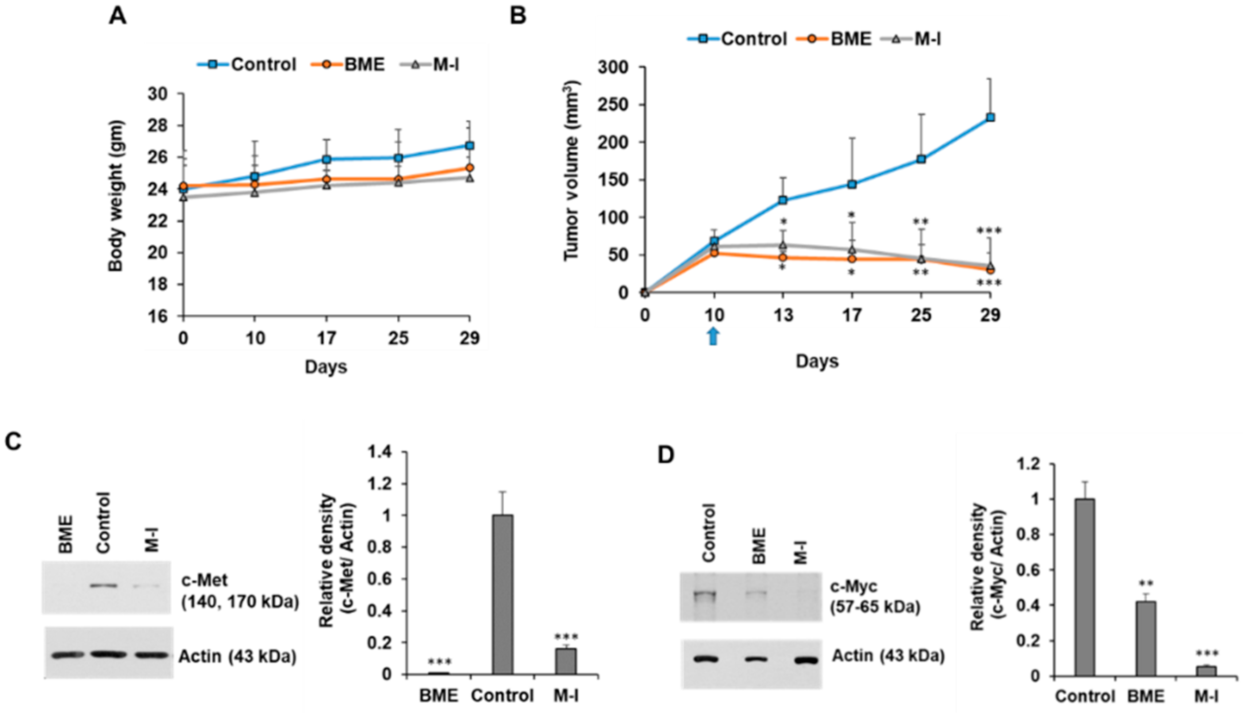 Cancers 13 01432 g007 Cancers 13 01432 g007