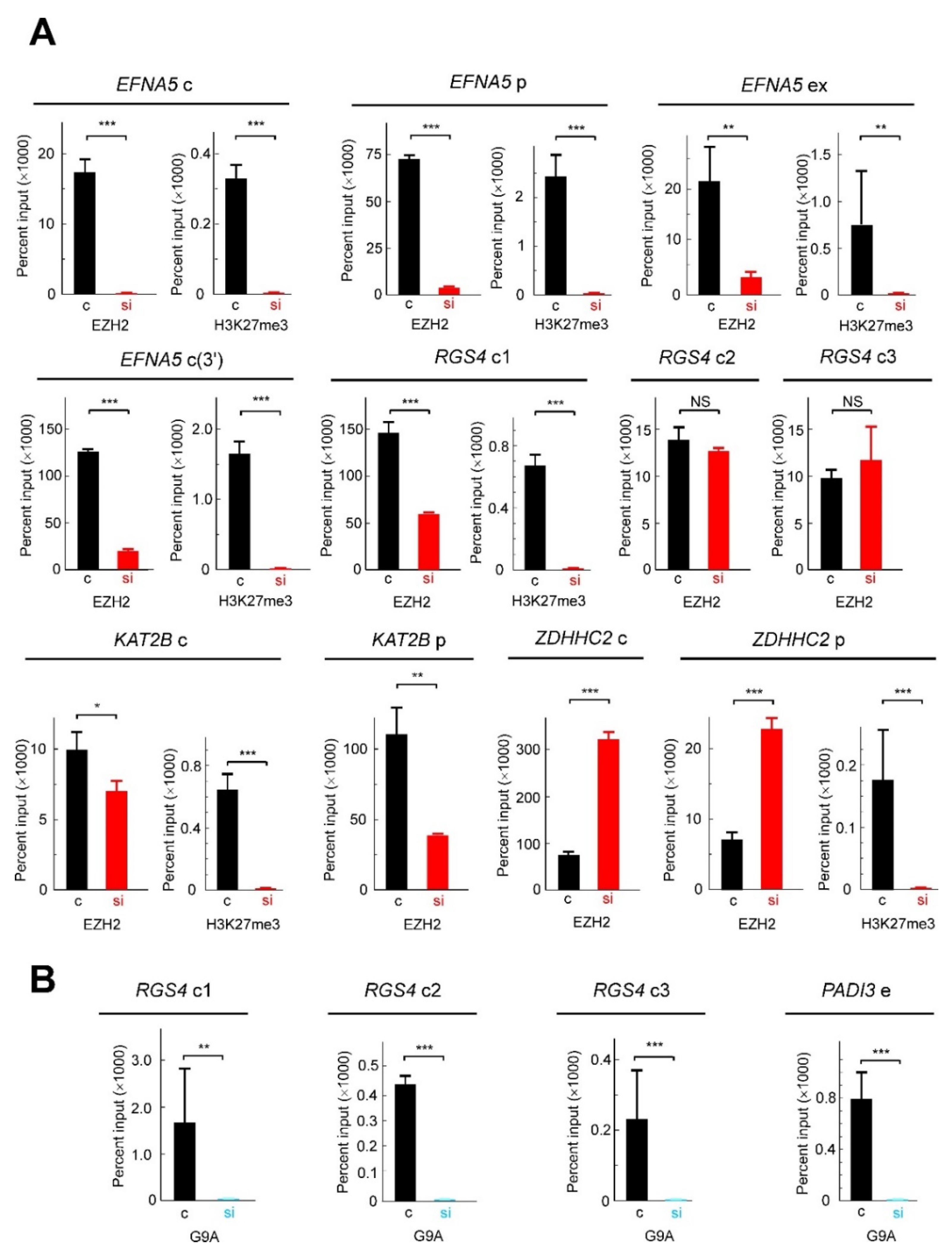 Cancers 13 01433 g007