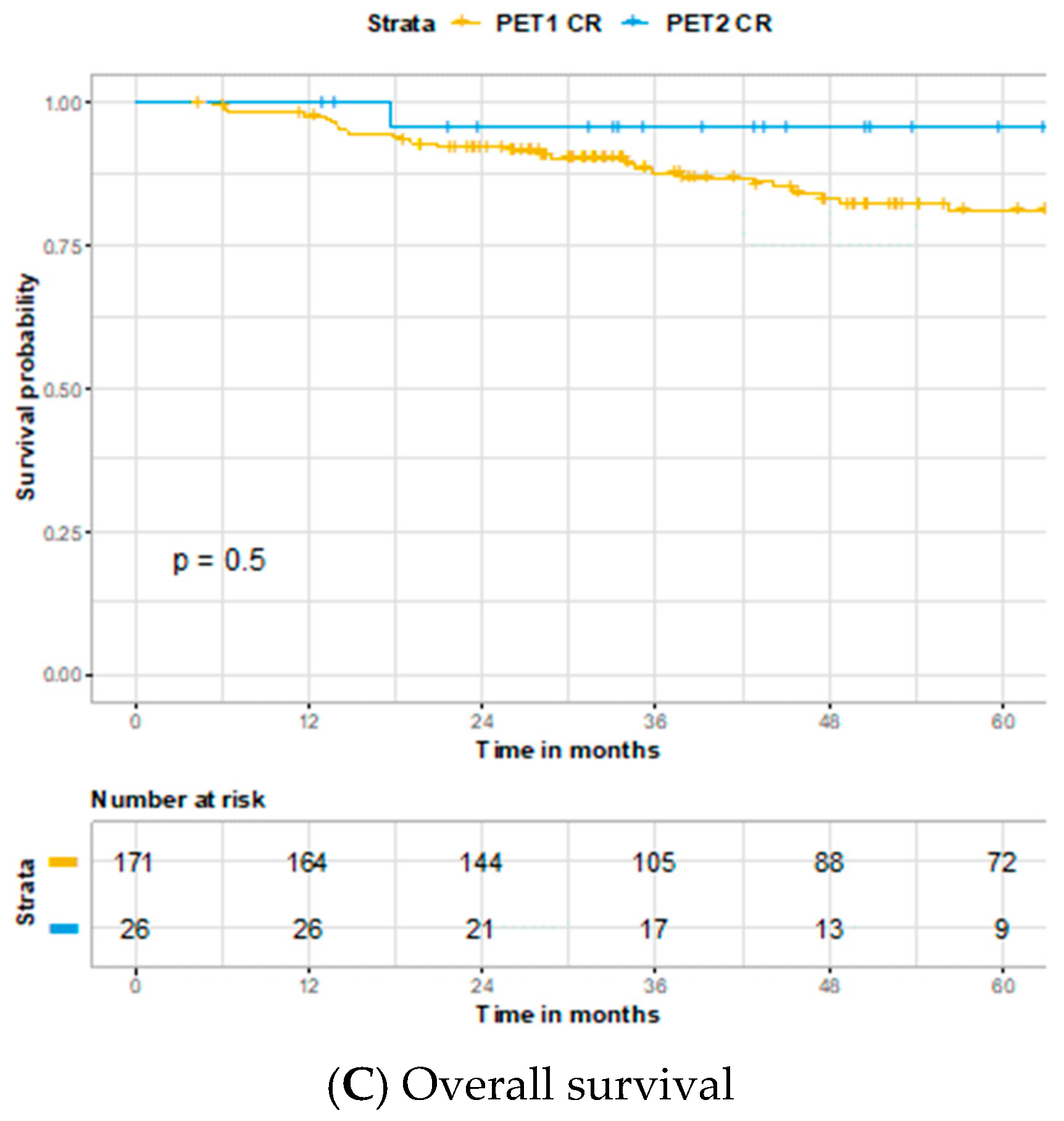 Cancers 13 01461 g005b
