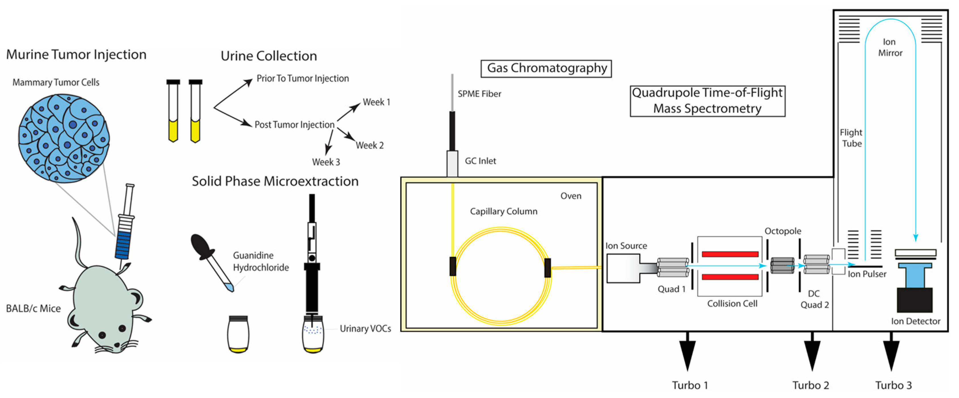 Cancers 13 01462 g001