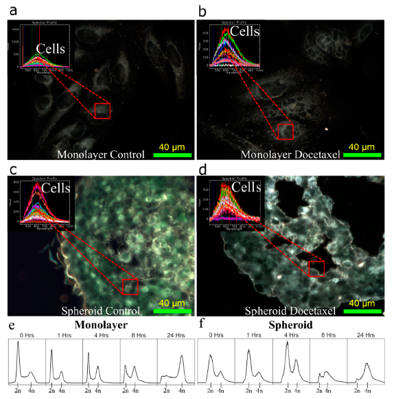 Cancers 13 01465 g003 Cancers 13 01465 g003