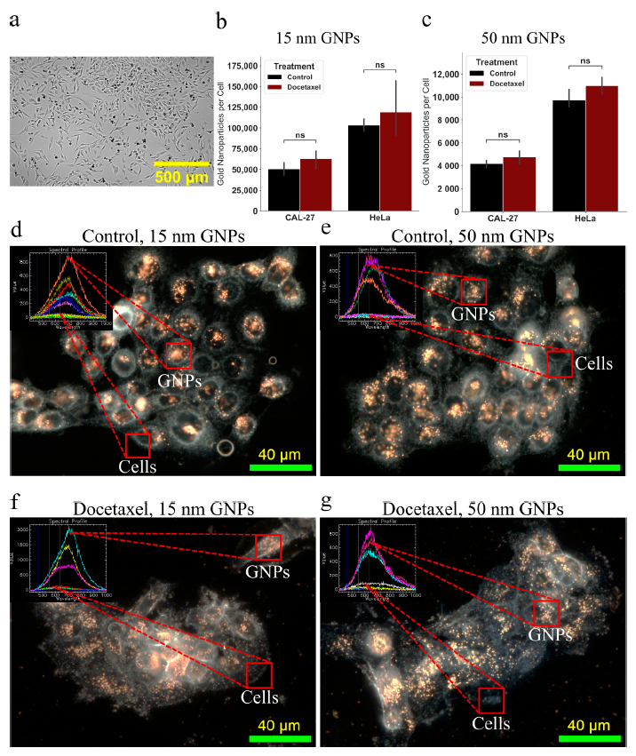 Cancers 13 01465 g004 Cancers 13 01465 g004