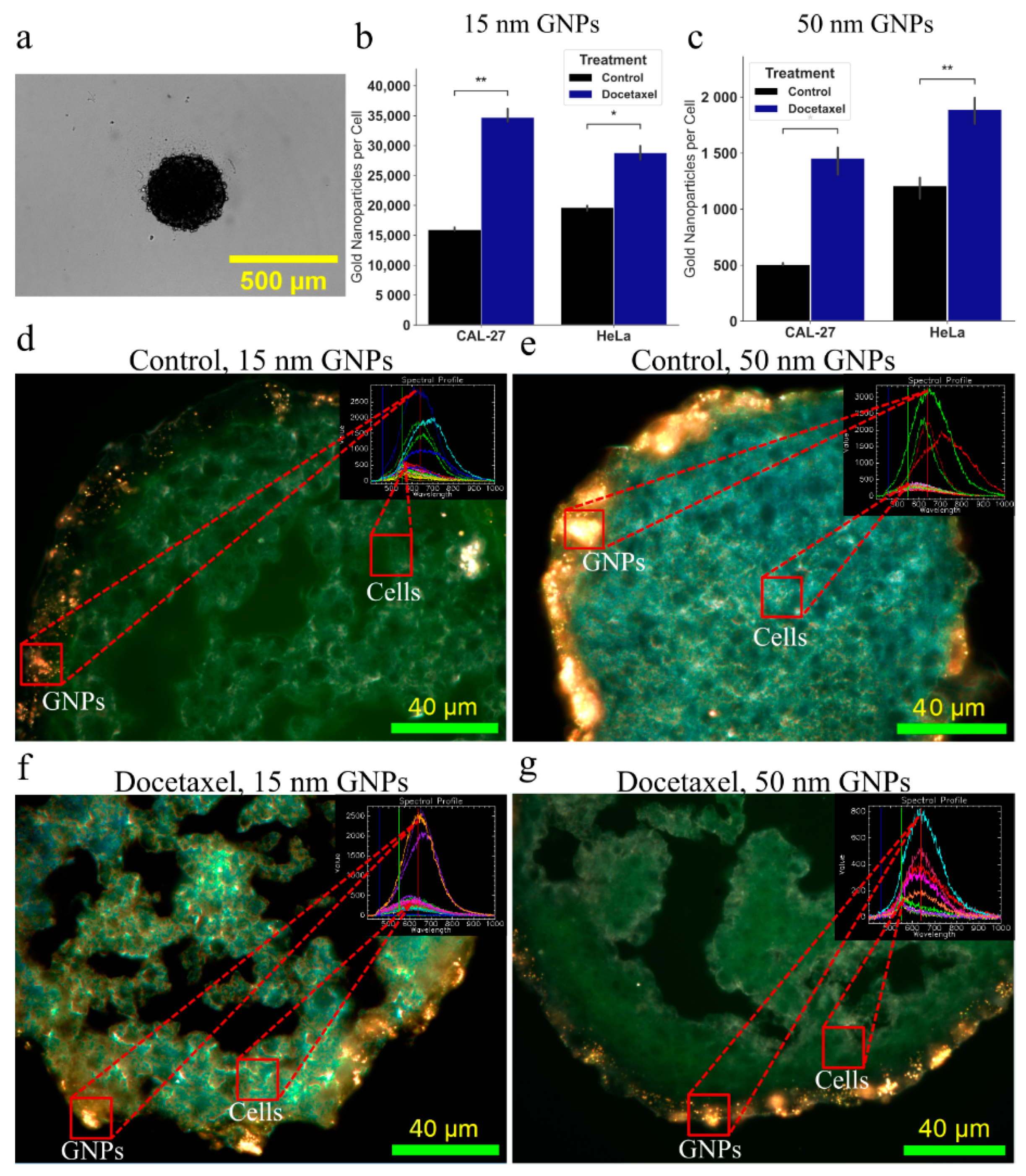 Cancers 13 01465 g005 Cancers 13 01465 g005