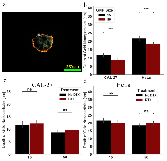 Cancers 13 01465 g006 Cancers 13 01465 g006