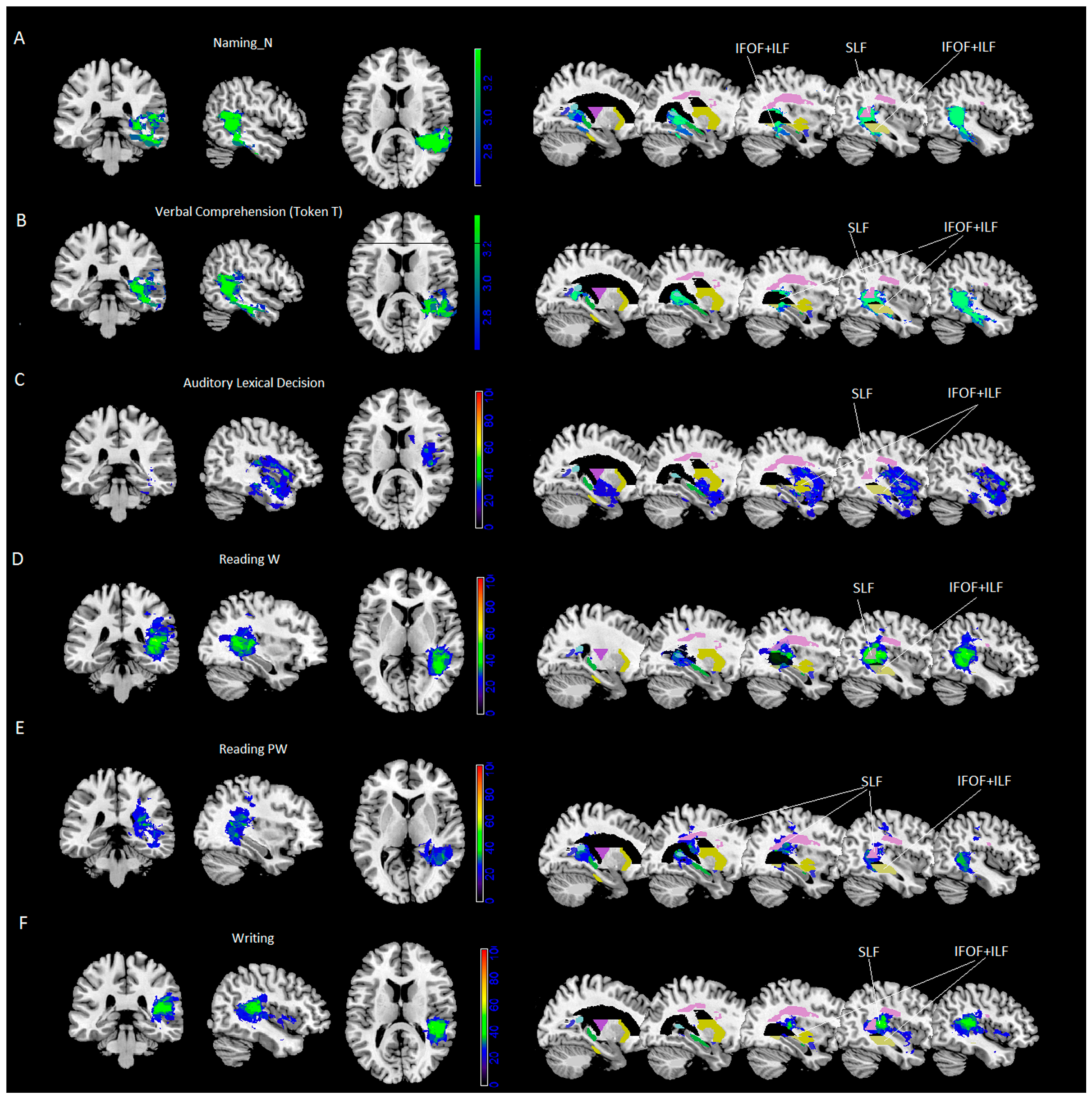Cancers 13 01467 g001 Cancers 13 01467 g001