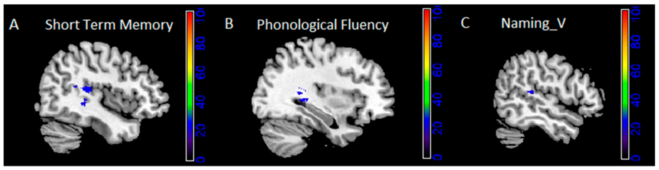 Cancers 13 01467 g002 Cancers 13 01467 g002