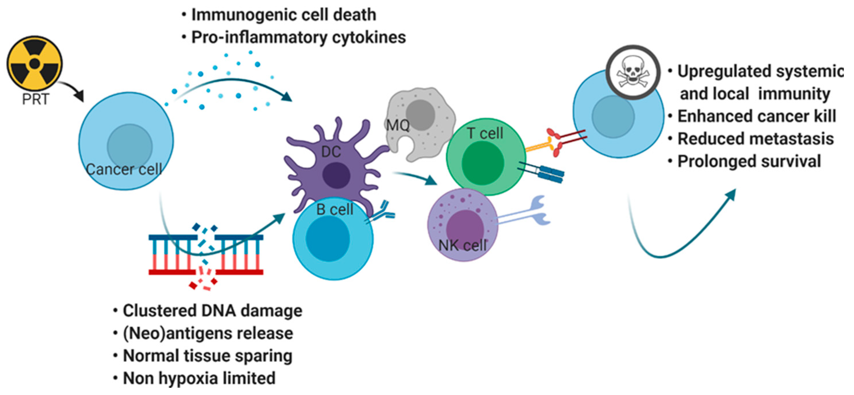 Cancers 13 01468 g002