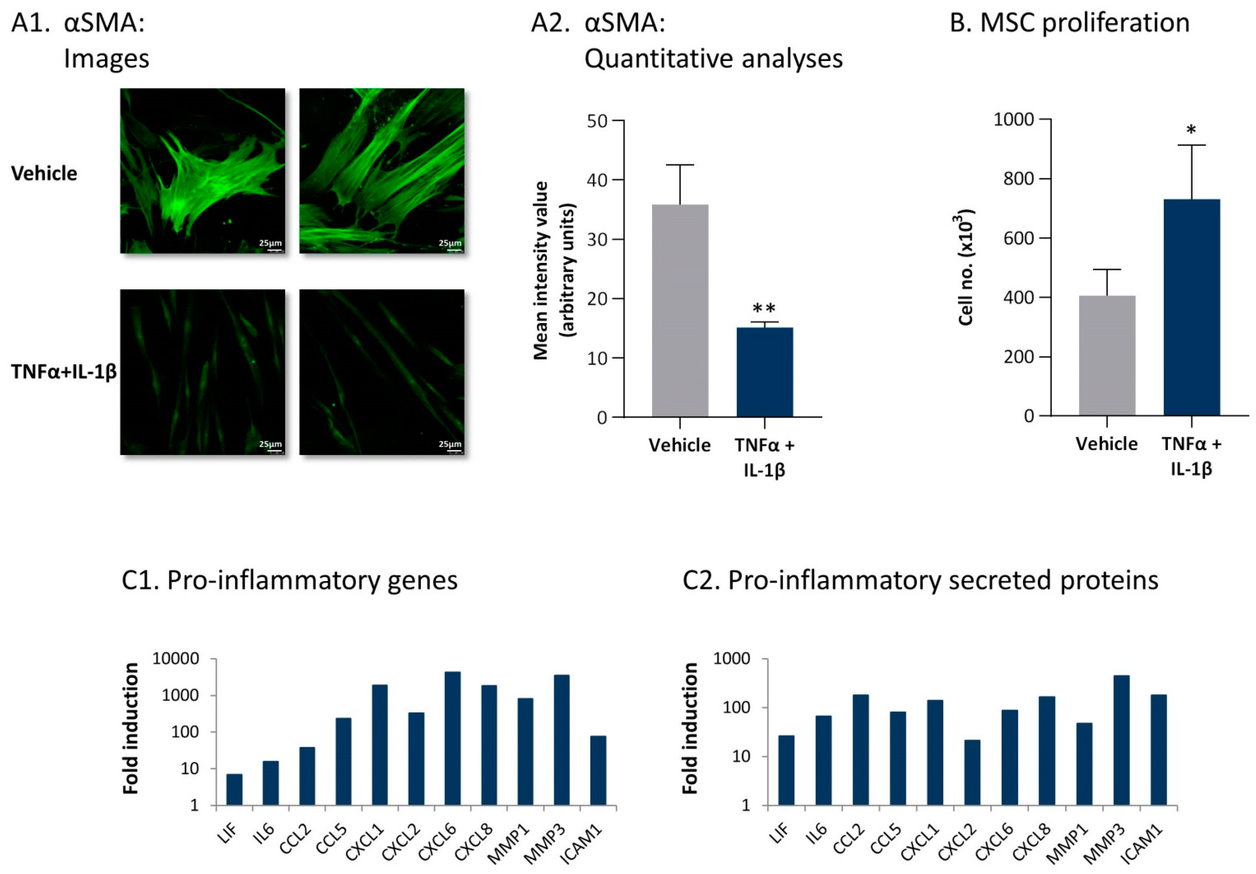 Cancers 13 01472 g005 Cancers 13 01472 g005