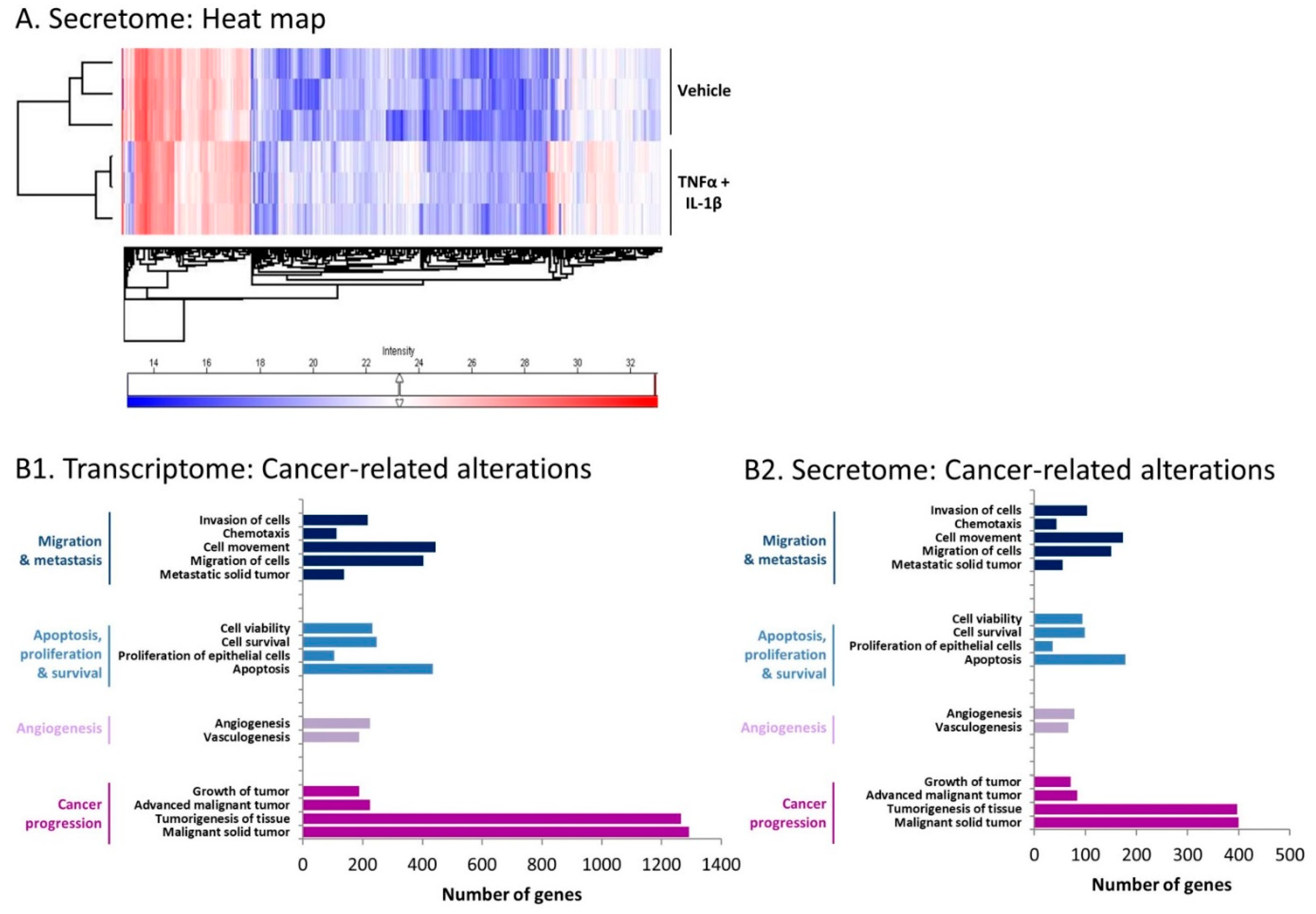 Cancers 13 01472 g006 Cancers 13 01472 g006