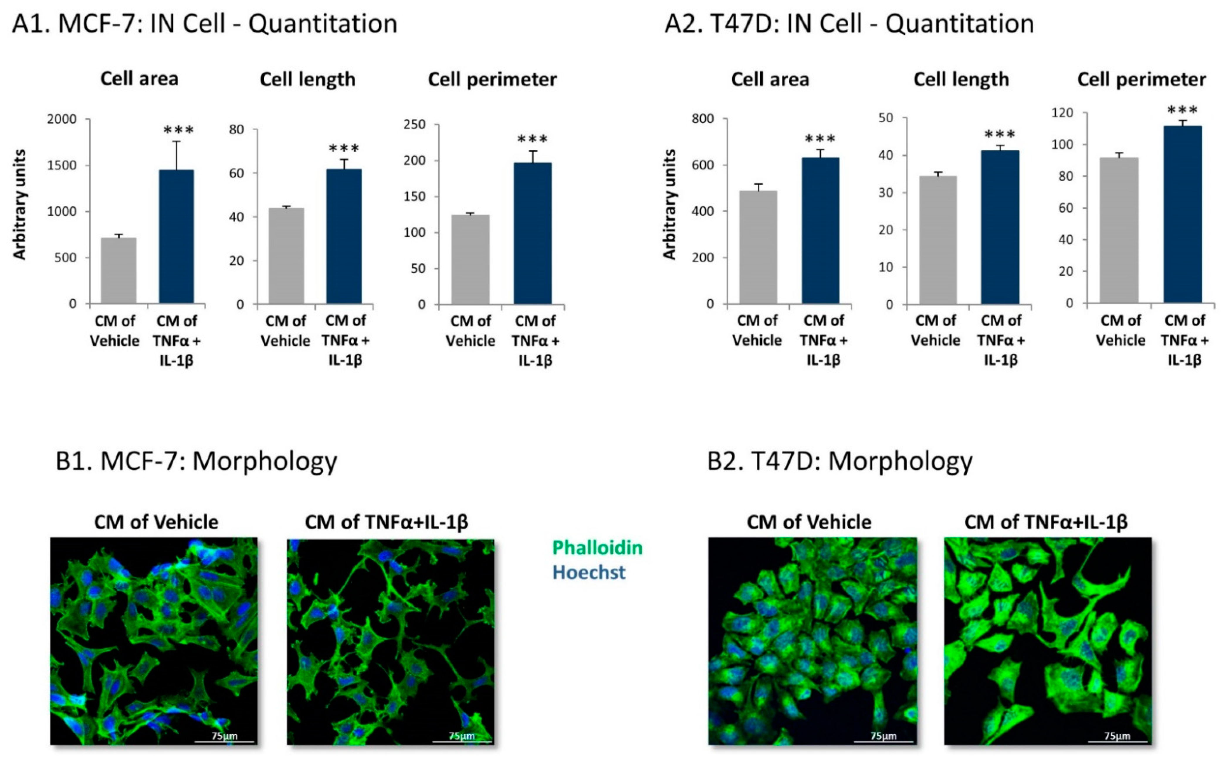 Cancers 13 01472 g007 Cancers 13 01472 g007