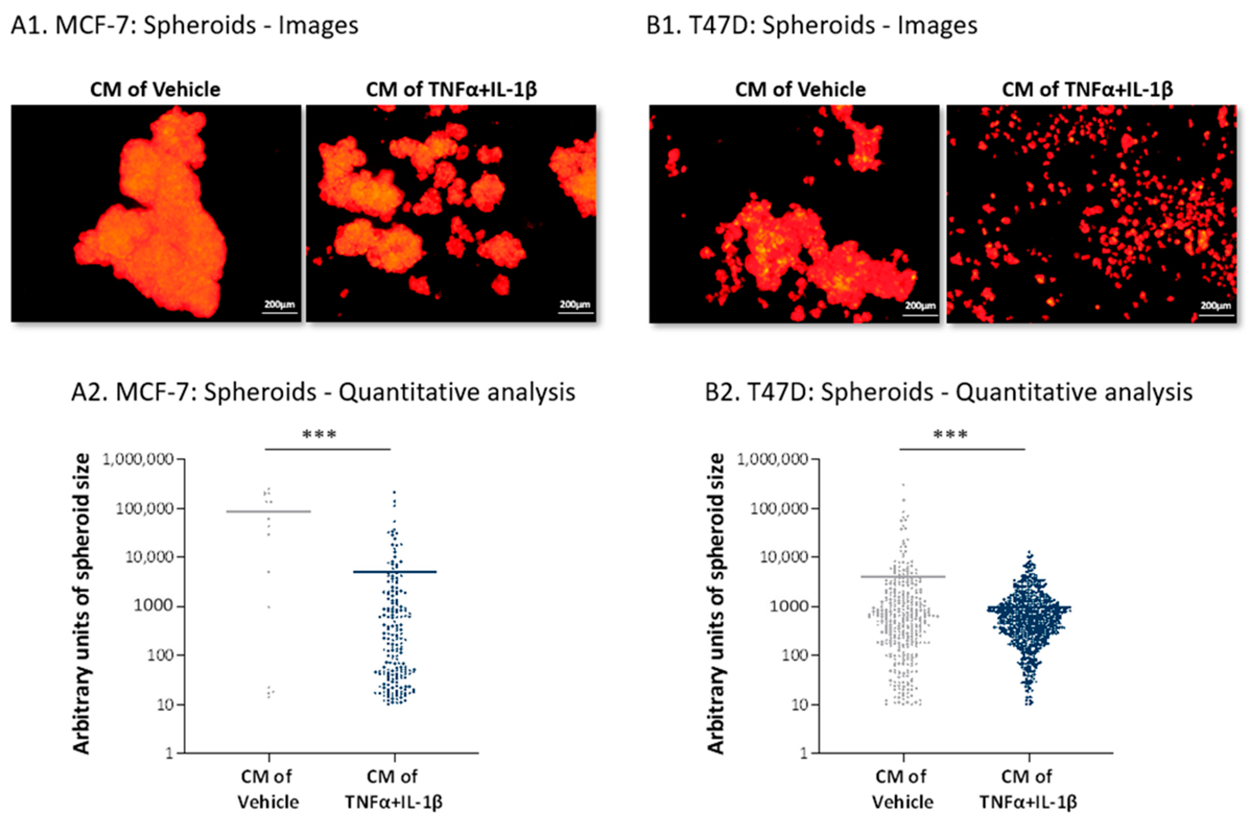 Cancers 13 01472 g008 Cancers 13 01472 g008