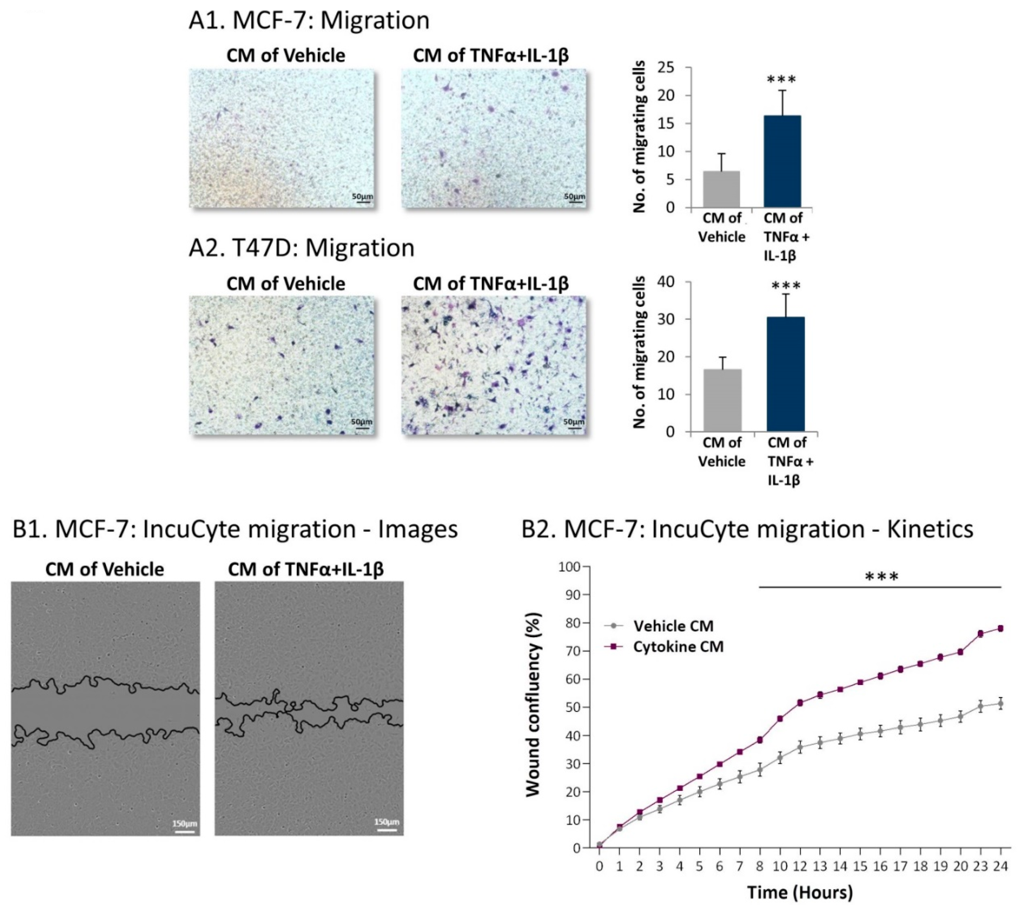 Cancers 13 01472 g009 Cancers 13 01472 g009