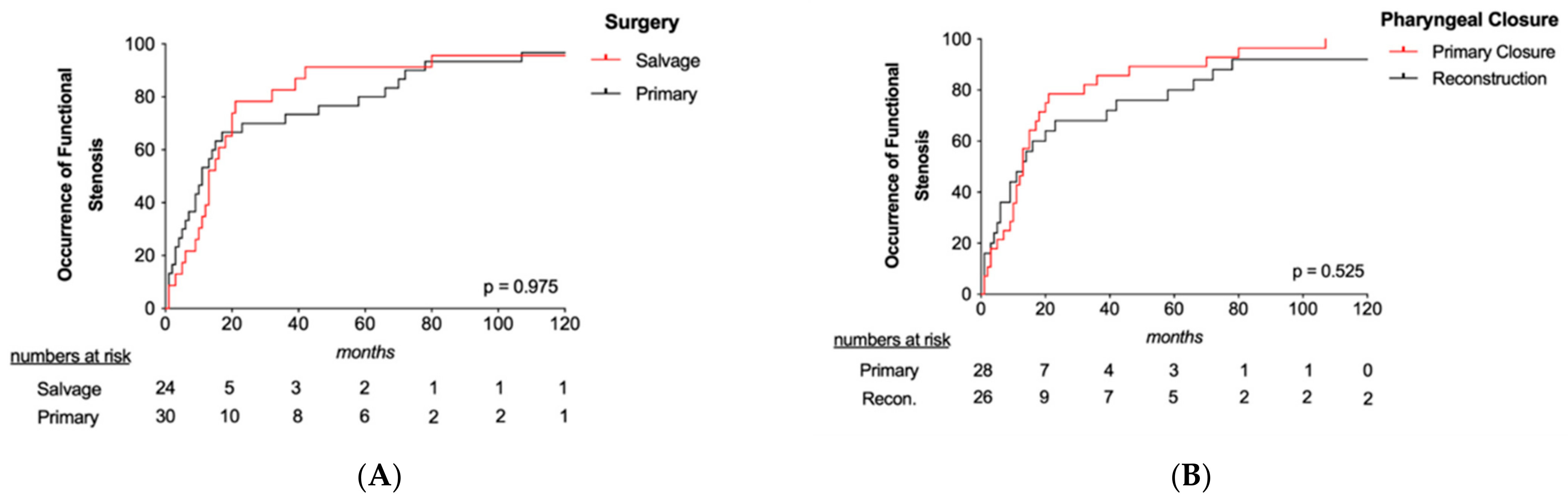 Cancers 13 01474 g004