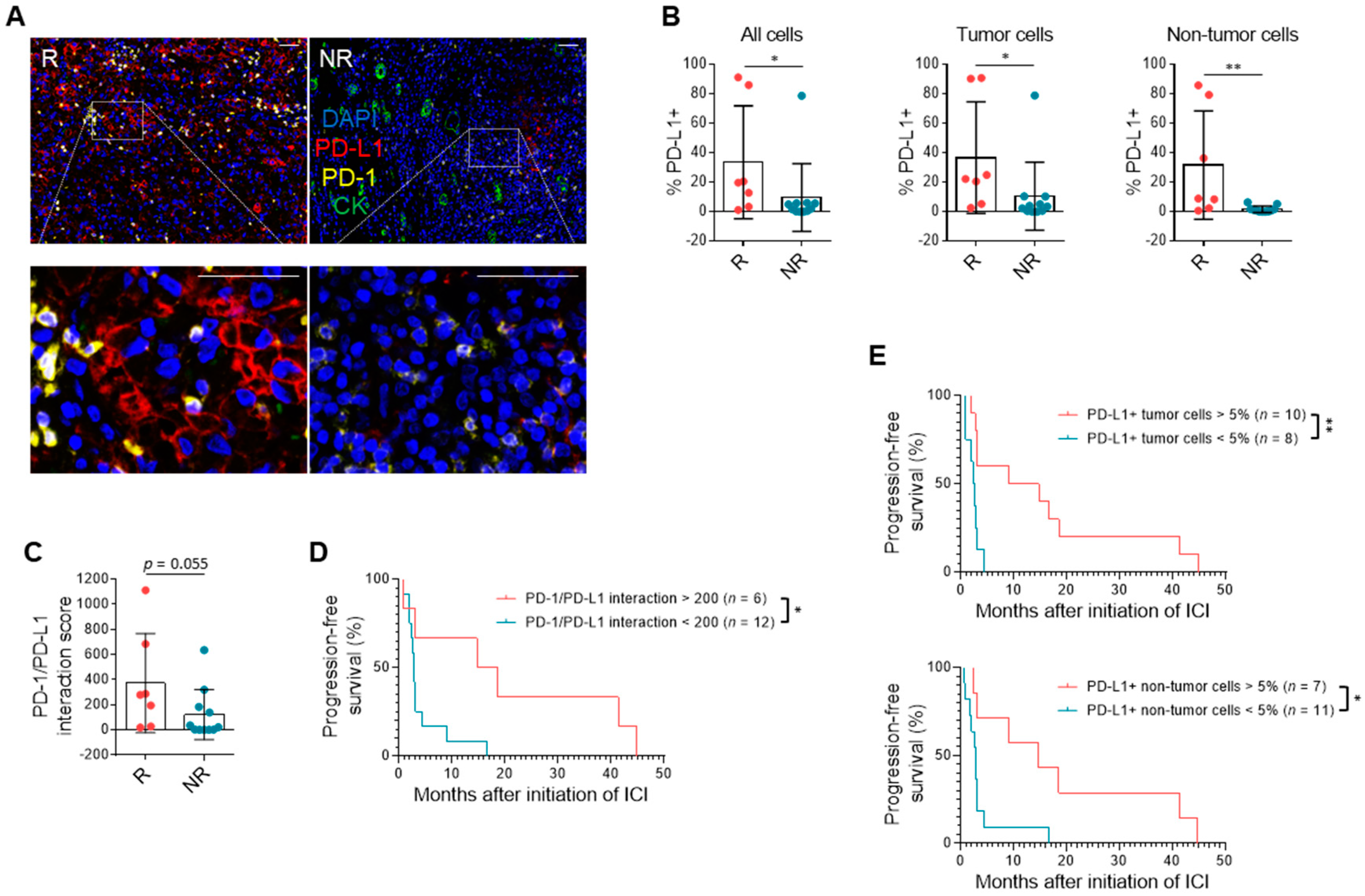 Cancers 13 01475 g002 Cancers 13 01475 g002
