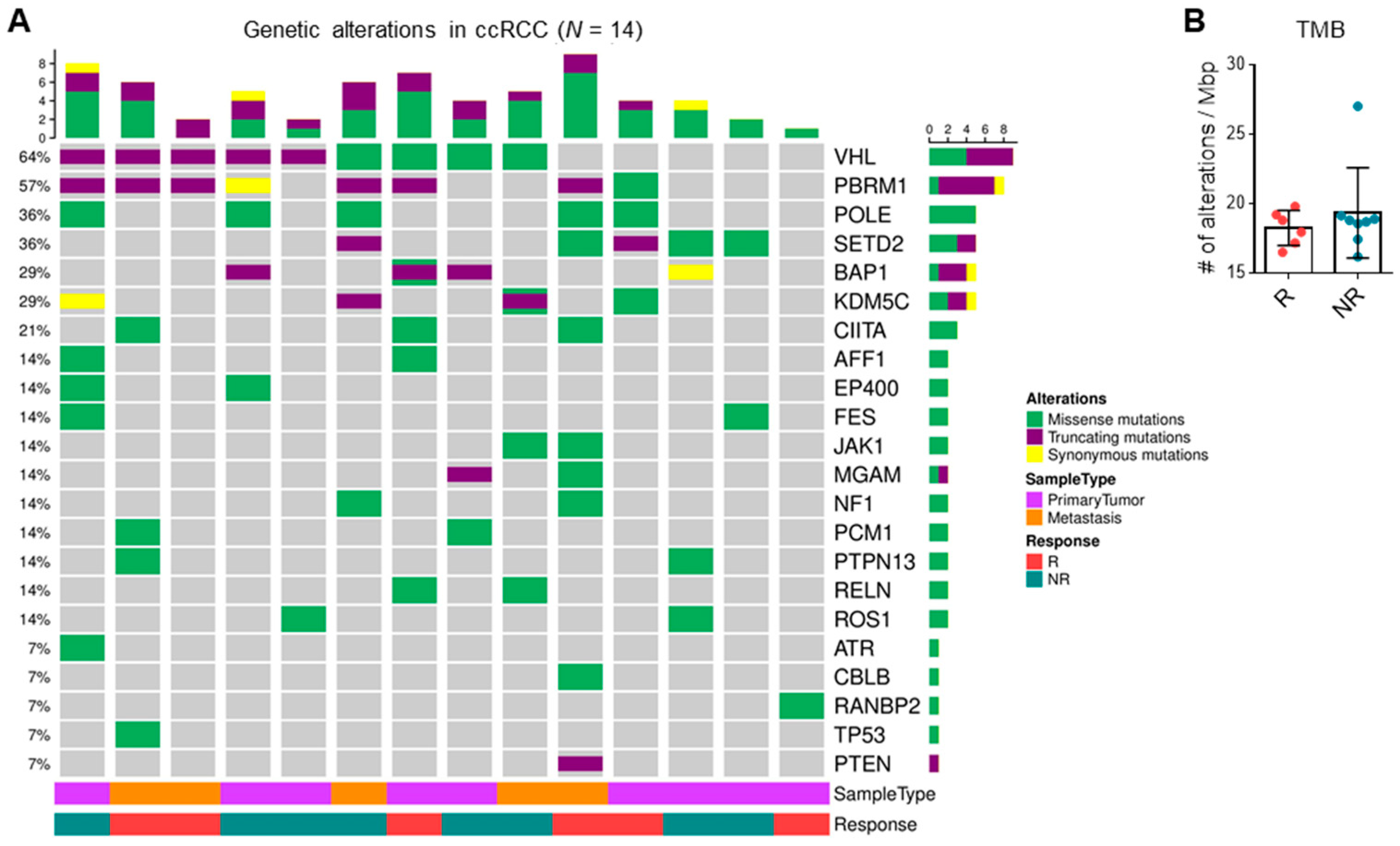Cancers 13 01475 g003 Cancers 13 01475 g003