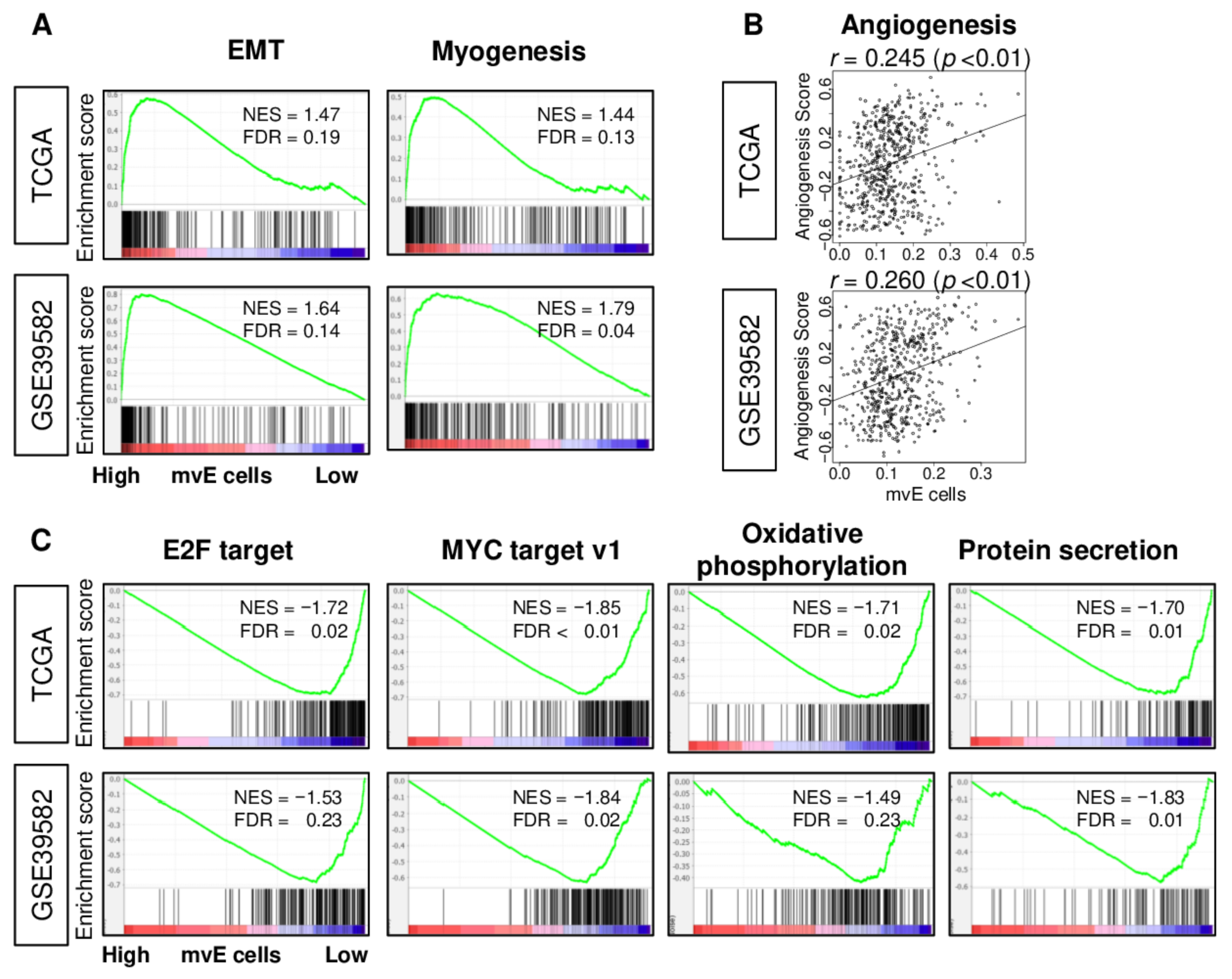 Cancers 13 01477 g003