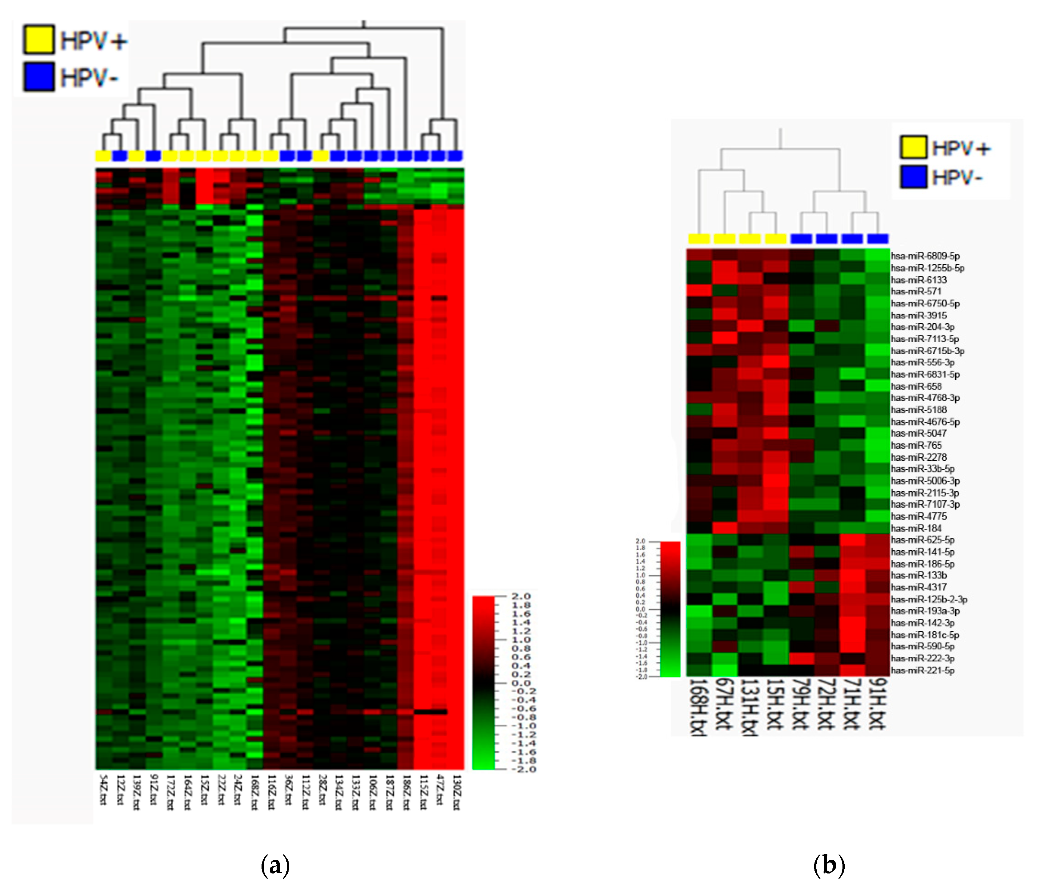 Cancers 13 01480 g001