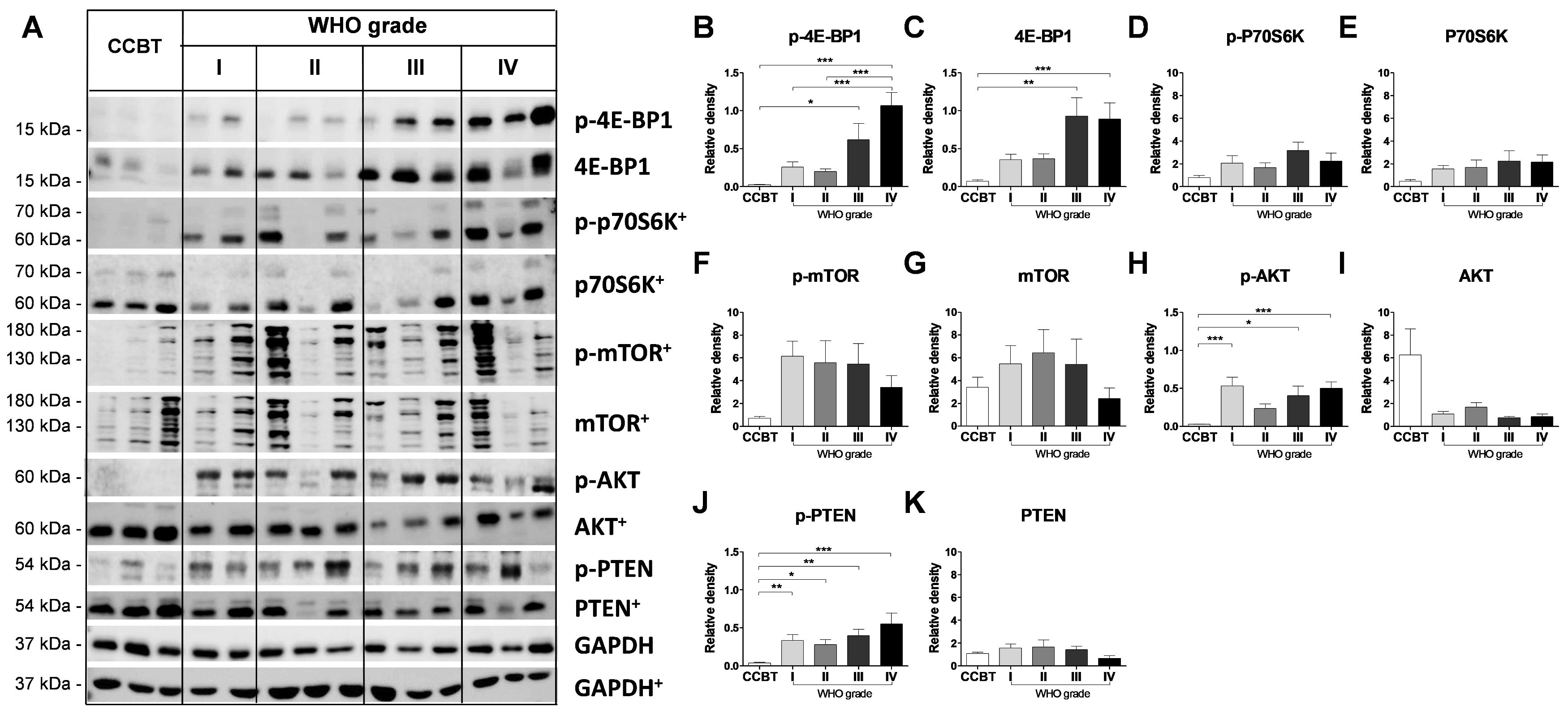 Cancers 13 01482 g001