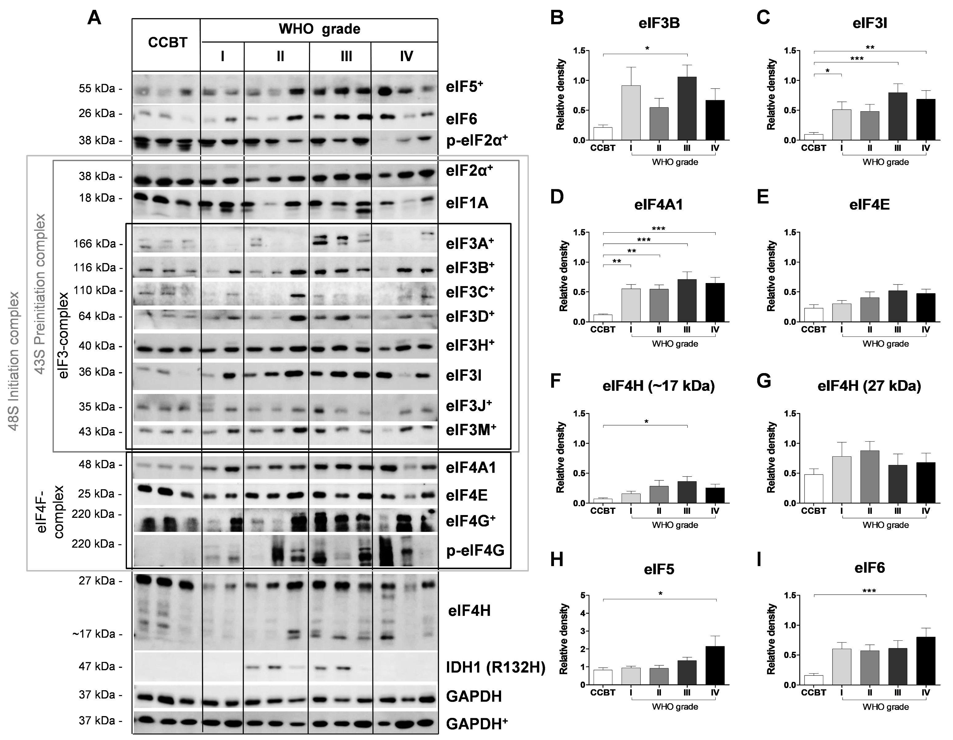 Cancers 13 01482 g002