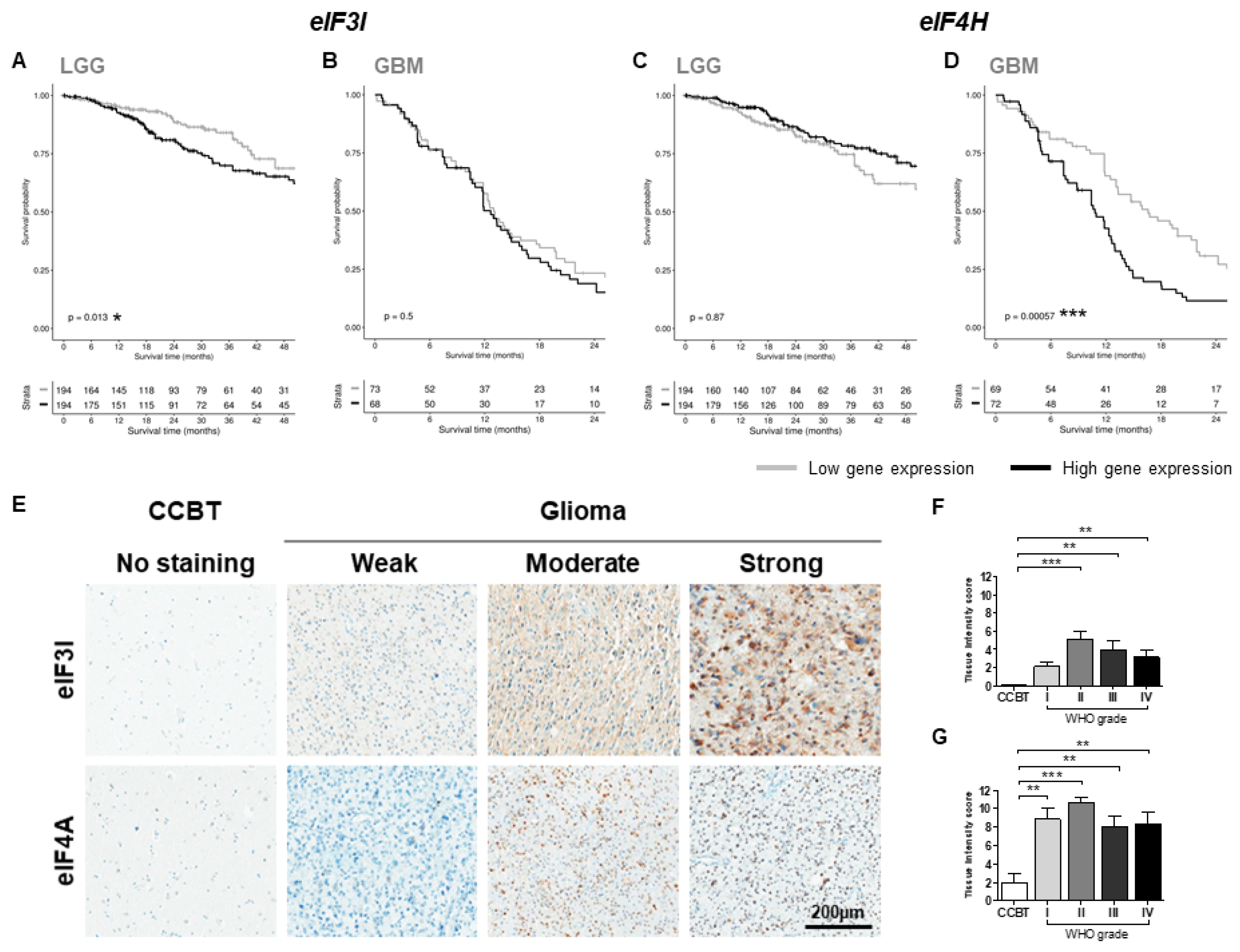 Cancers 13 01482 g004