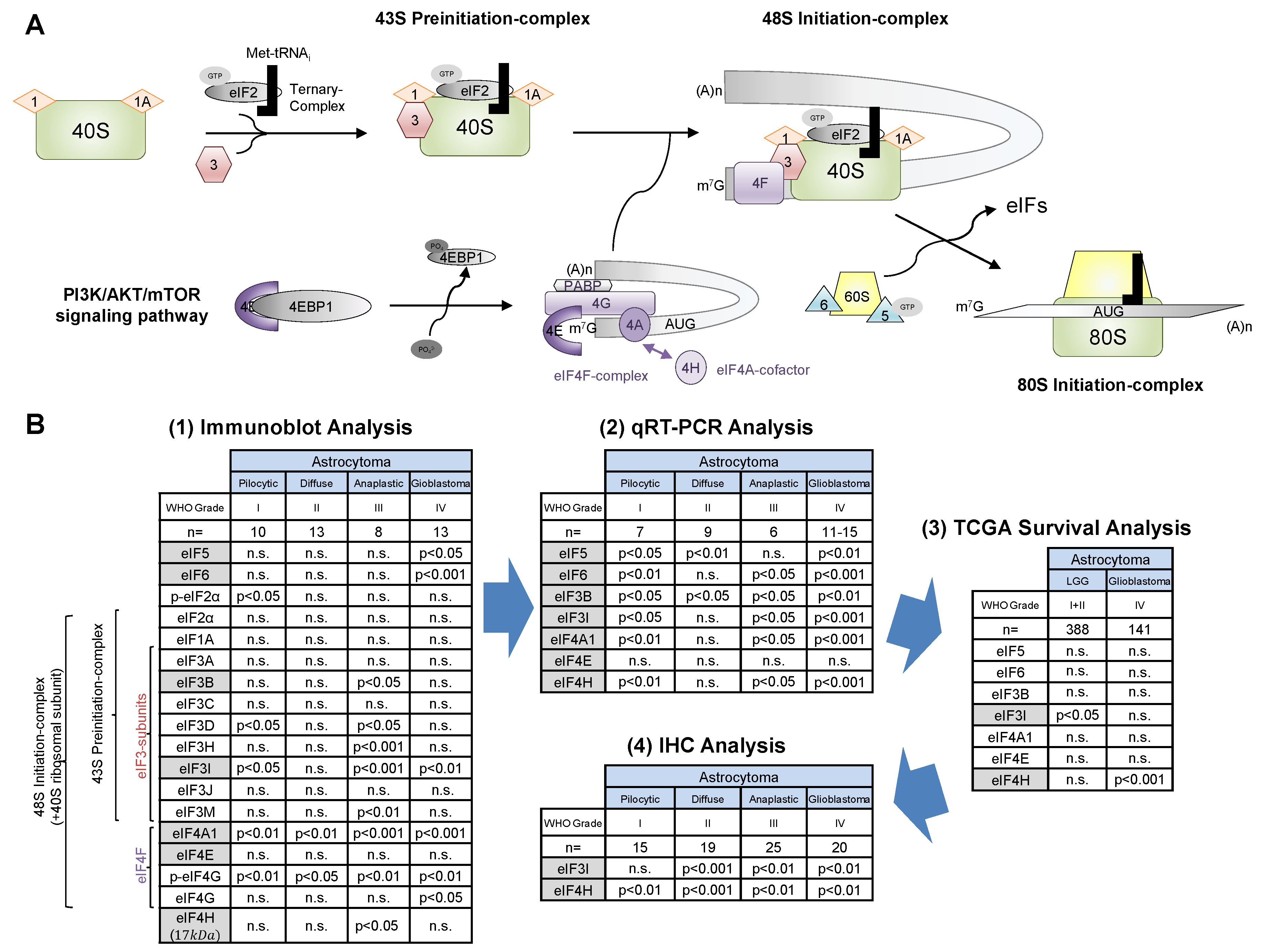 Cancers 13 01482 g005