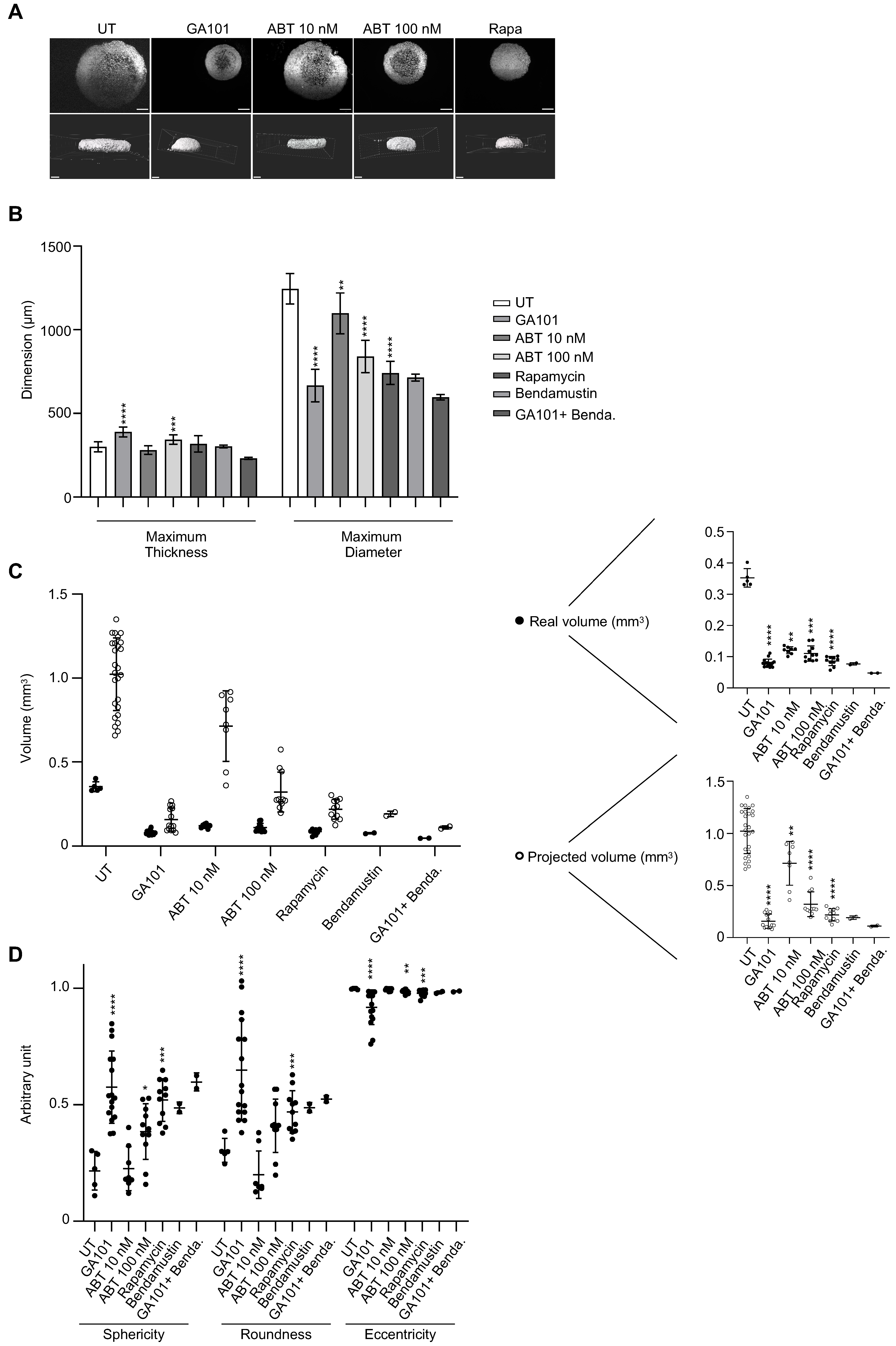 Cancers 13 01490 g006 Cancers 13 01490 g006