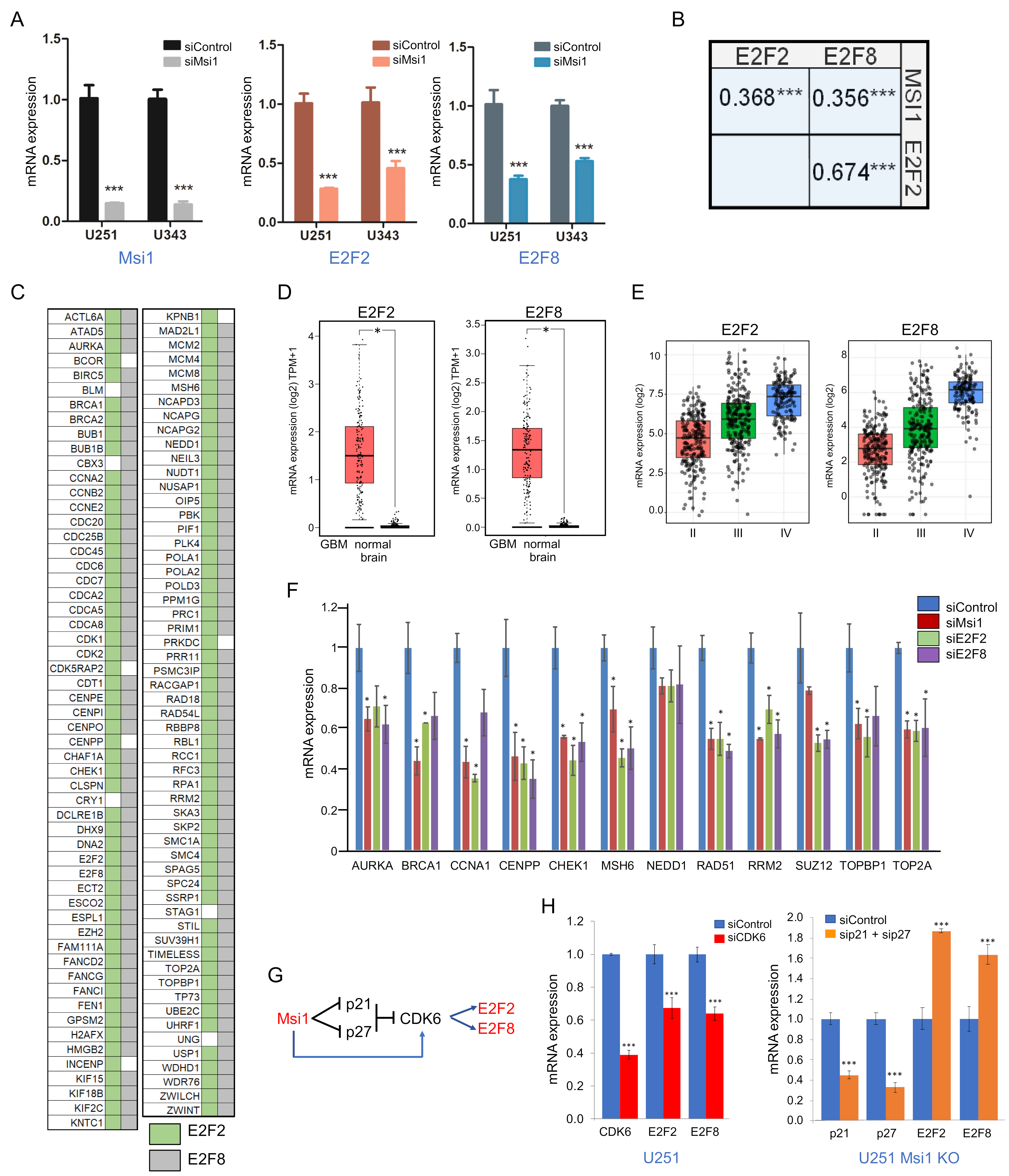 Cancers 13 01494 g006