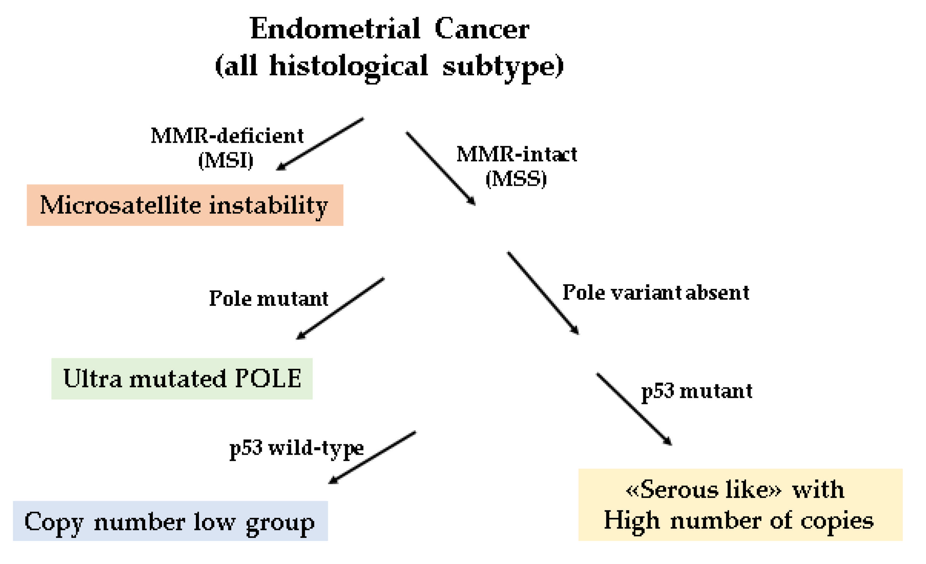 Endometrial cancer p53 Utilitatea imunohistochimiei în diagnosticul carcinomului ovarian