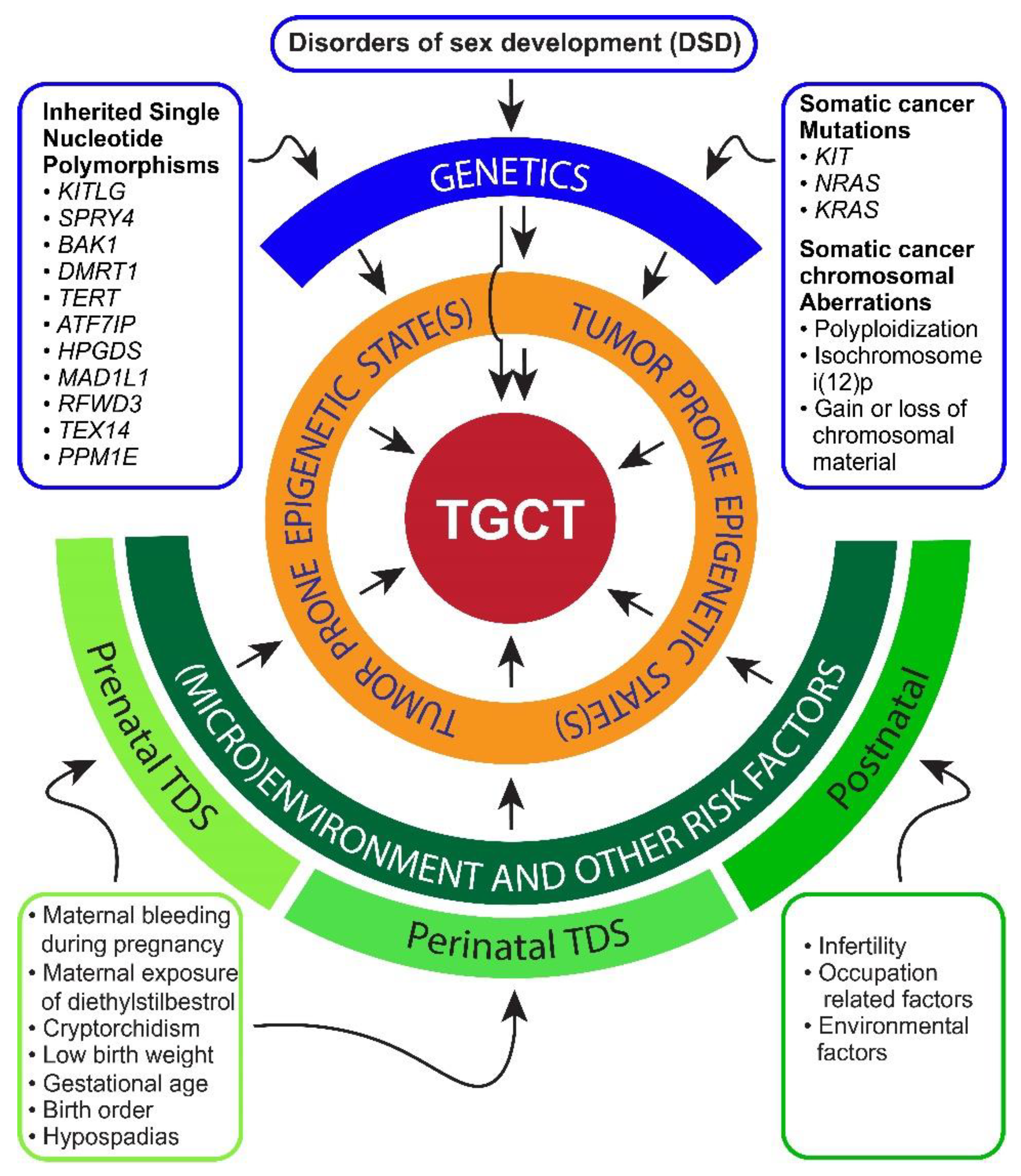 Cancers 13 01506 g001