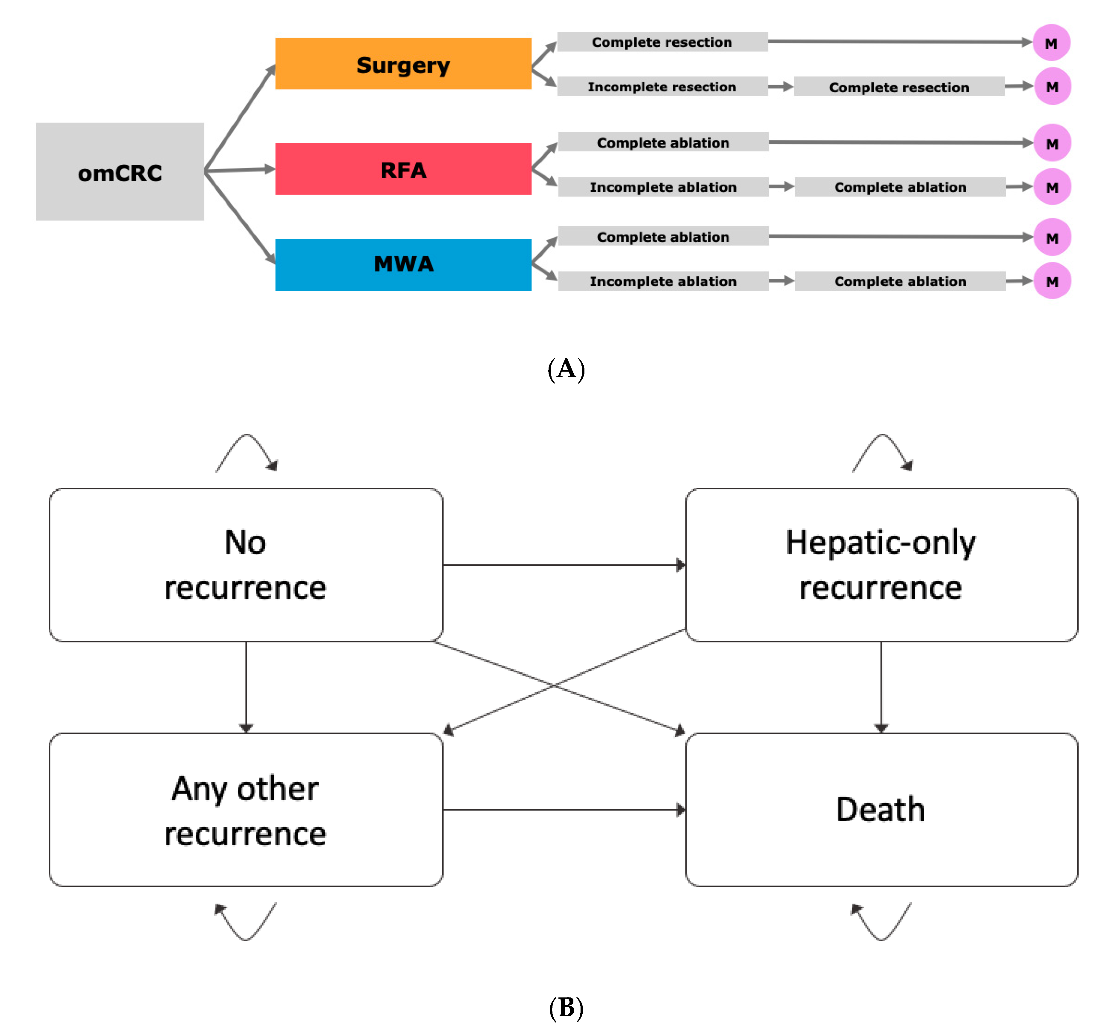 Cancers 13 01507 g004 Cancers 13 01507 g004