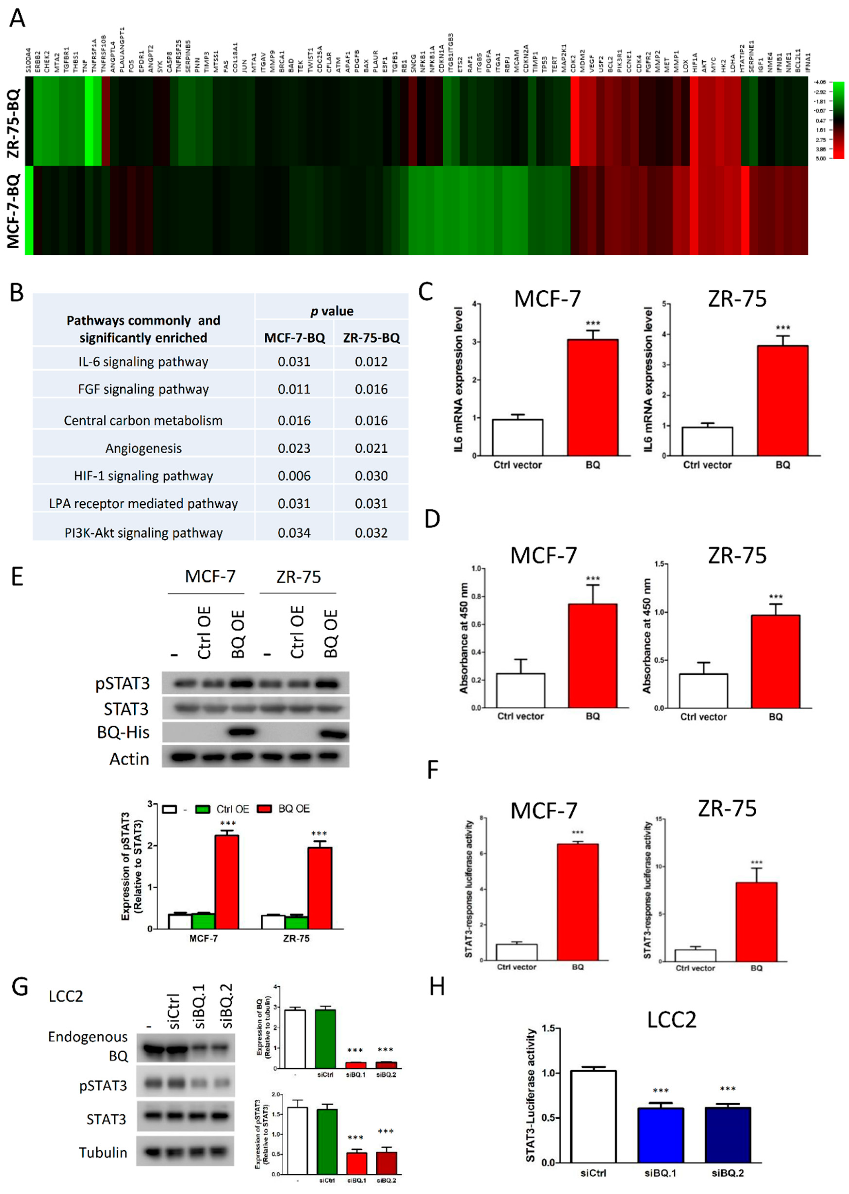 Cancers 13 01511 g001
