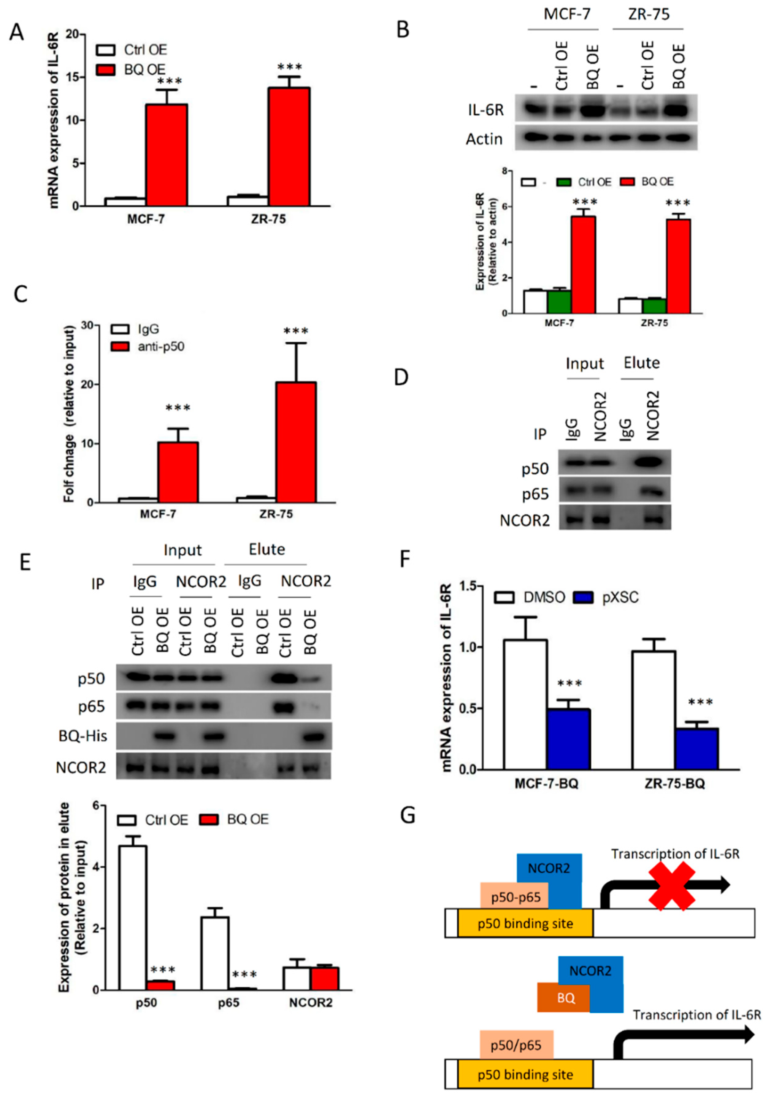 Cancers 13 01511 g004