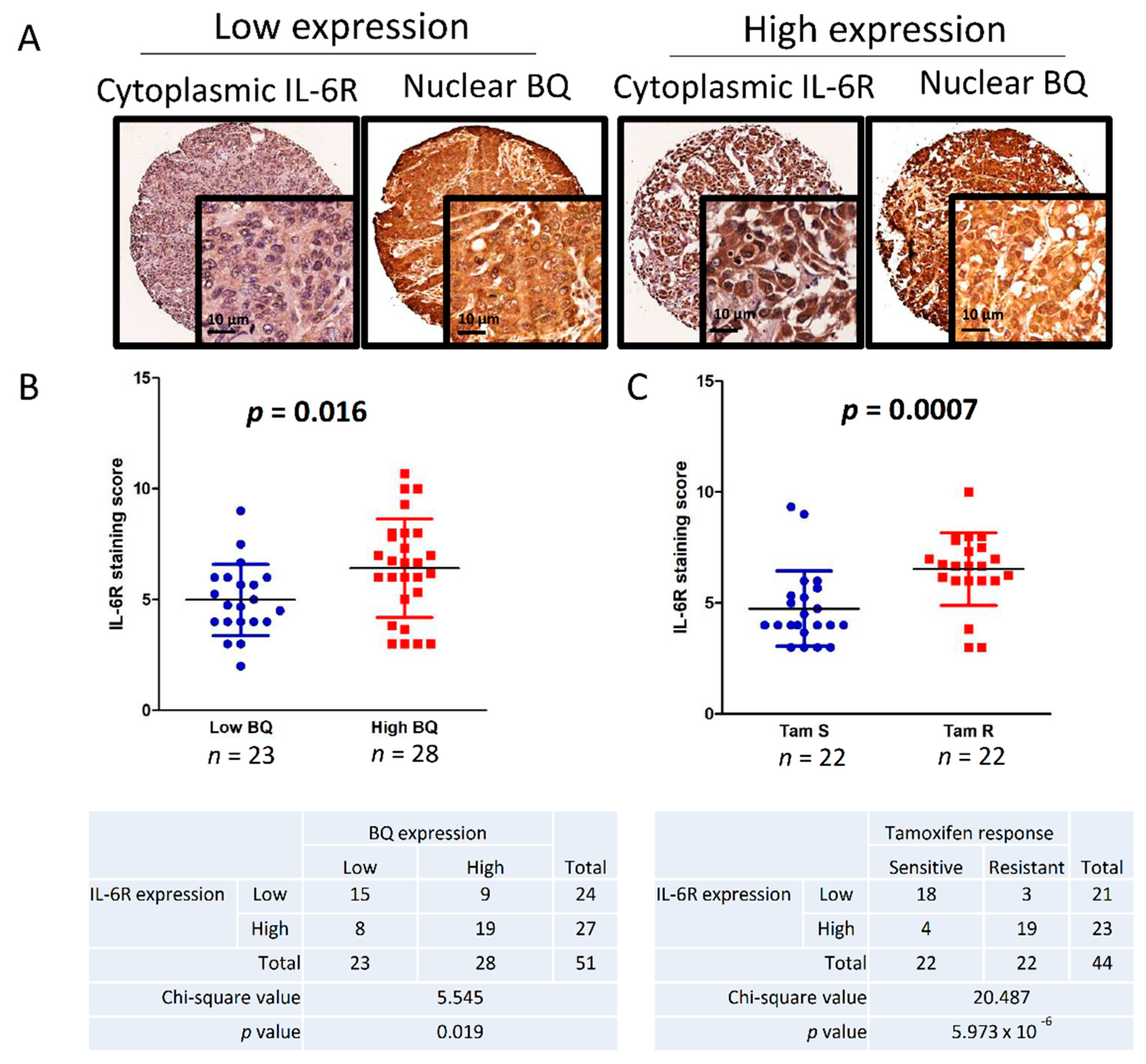Cancers 13 01511 g006a