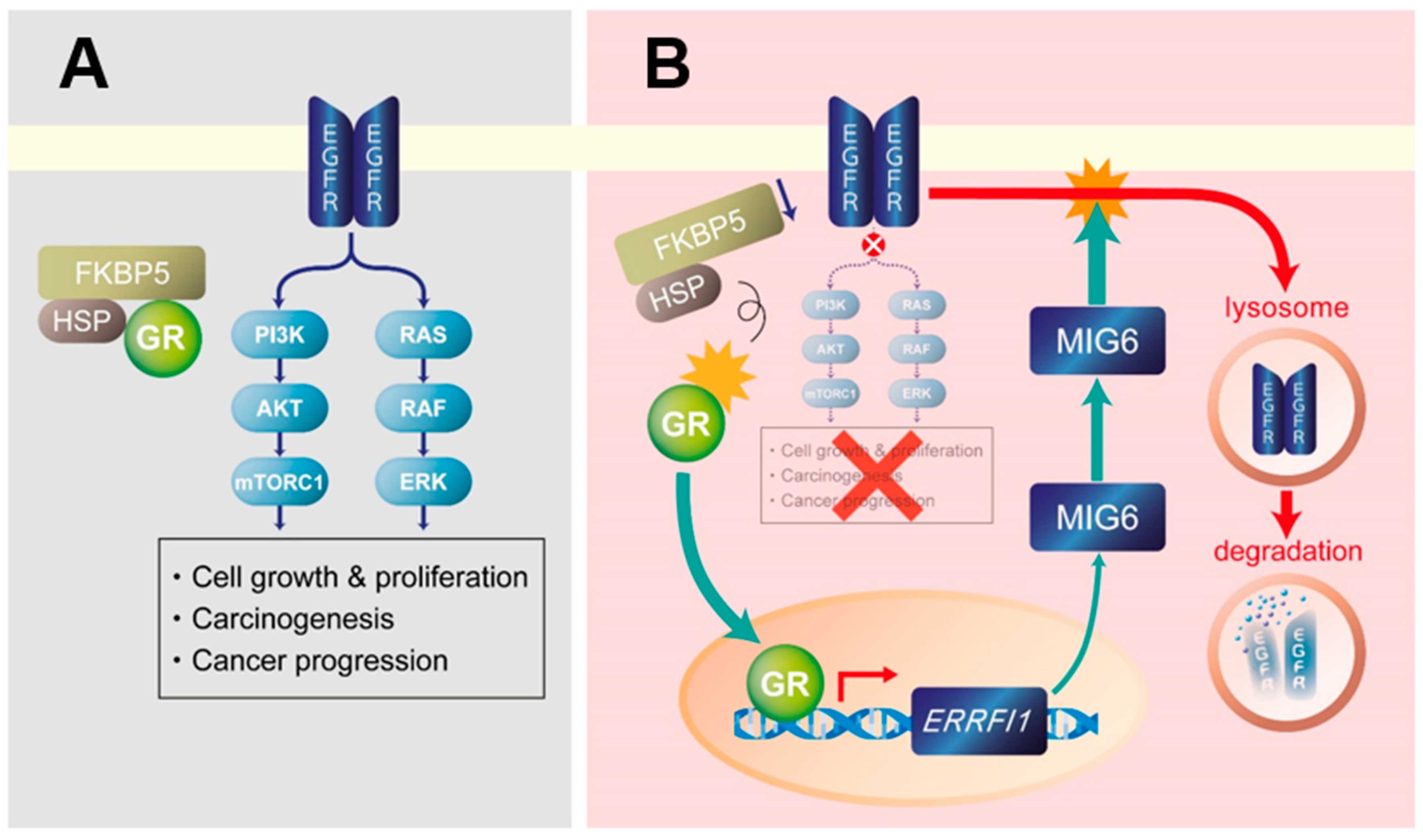 Cancers 13 01515 g008 Cancers 13 01515 g008
