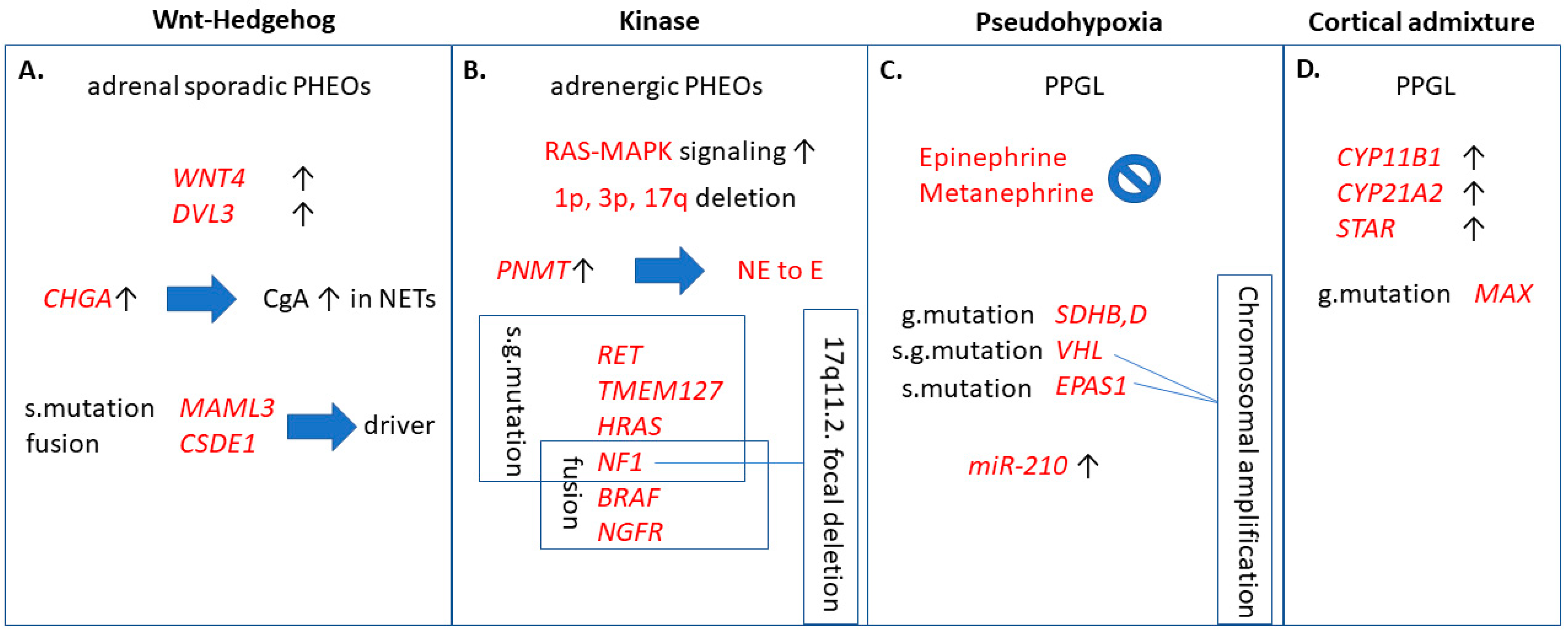 Cancers 13 01522 g001 Cancers 13 01522 g001